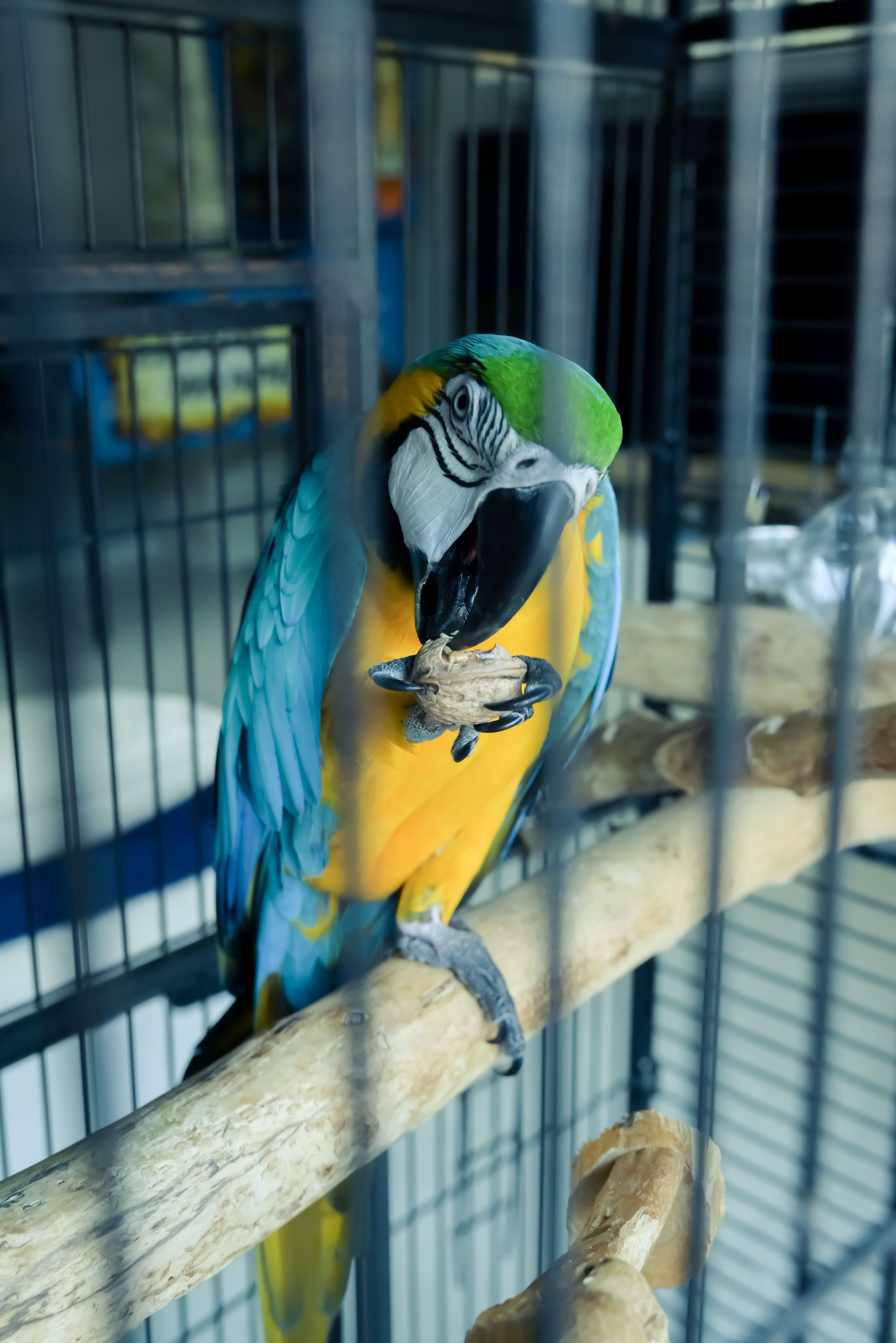 Francesca_la festa dei 18 anni_ 1parte