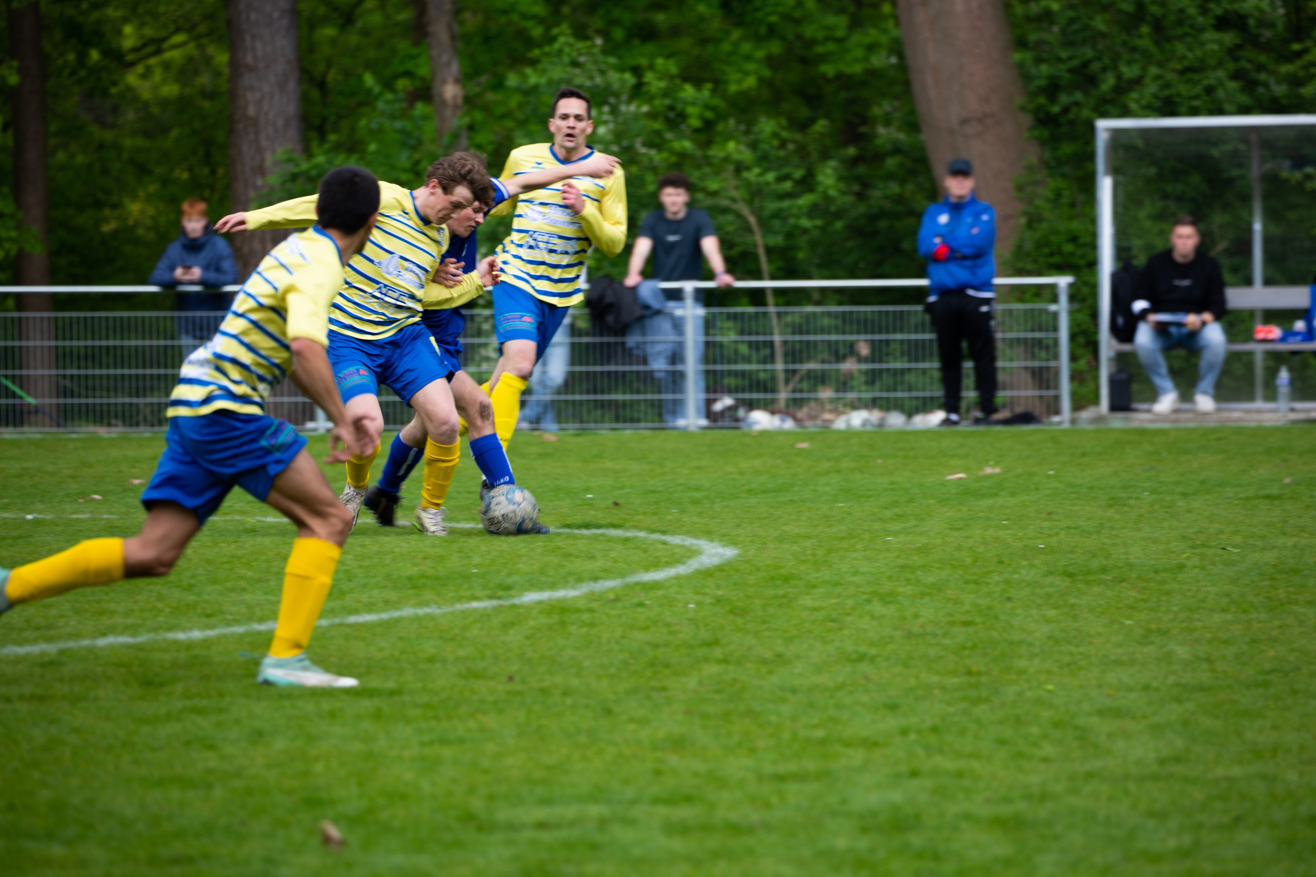 Sports. Family, portrait, and lifestyle photoshoots in Belgium