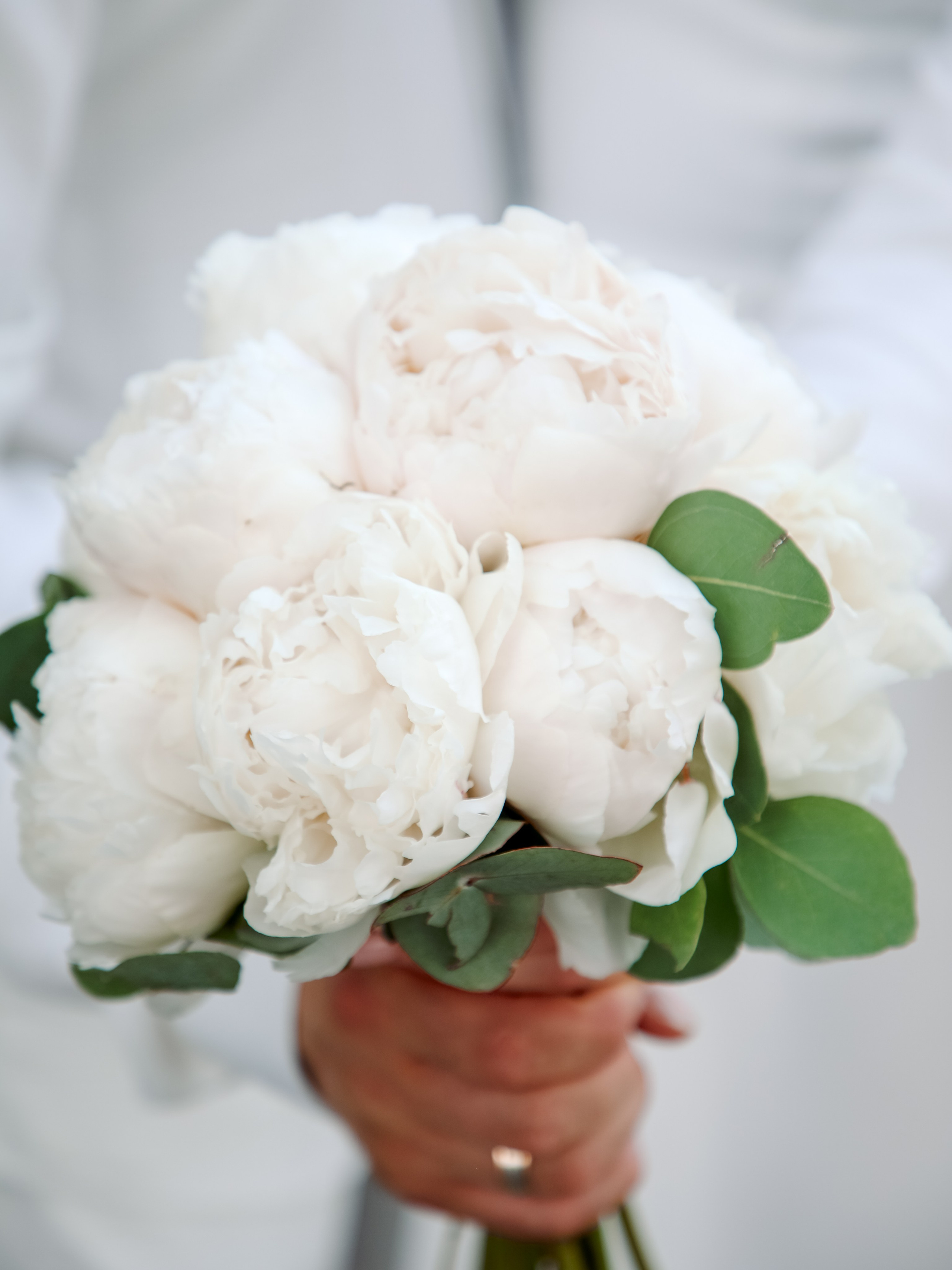 Hochzeitsfotografie. Startseite