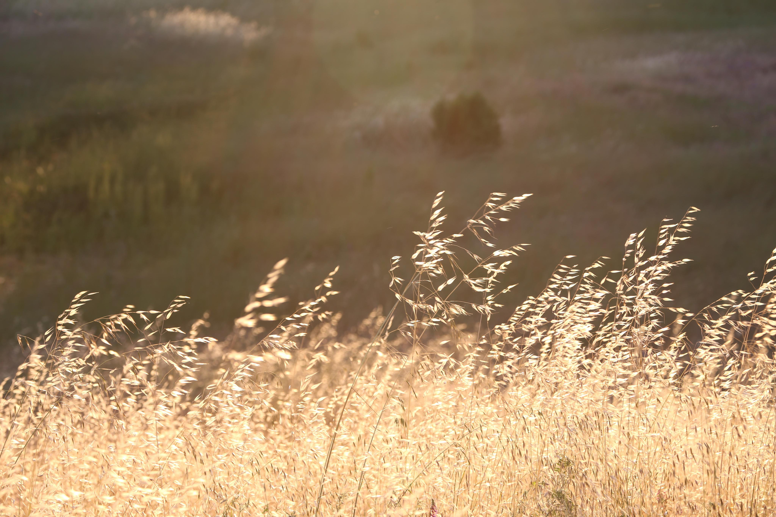 Family and children’s lifestyle photographer Elena Tumanova