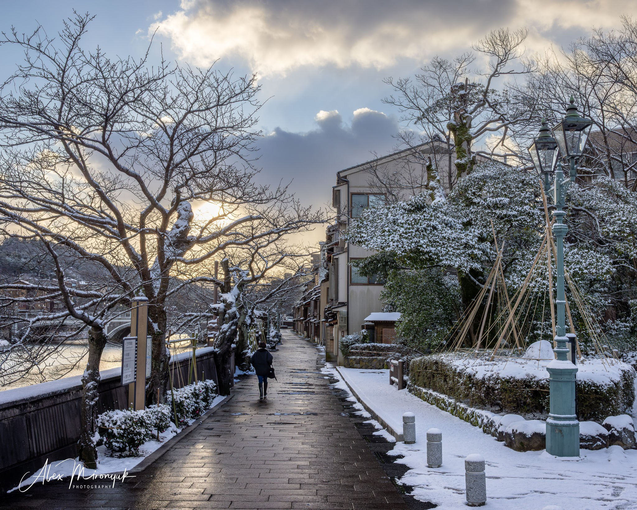 Winter Japan: Snow Monkeys, Castles & Timeless Villages. Pet, Senior, Landscape, portrait studio, photographer in Miami and Sou