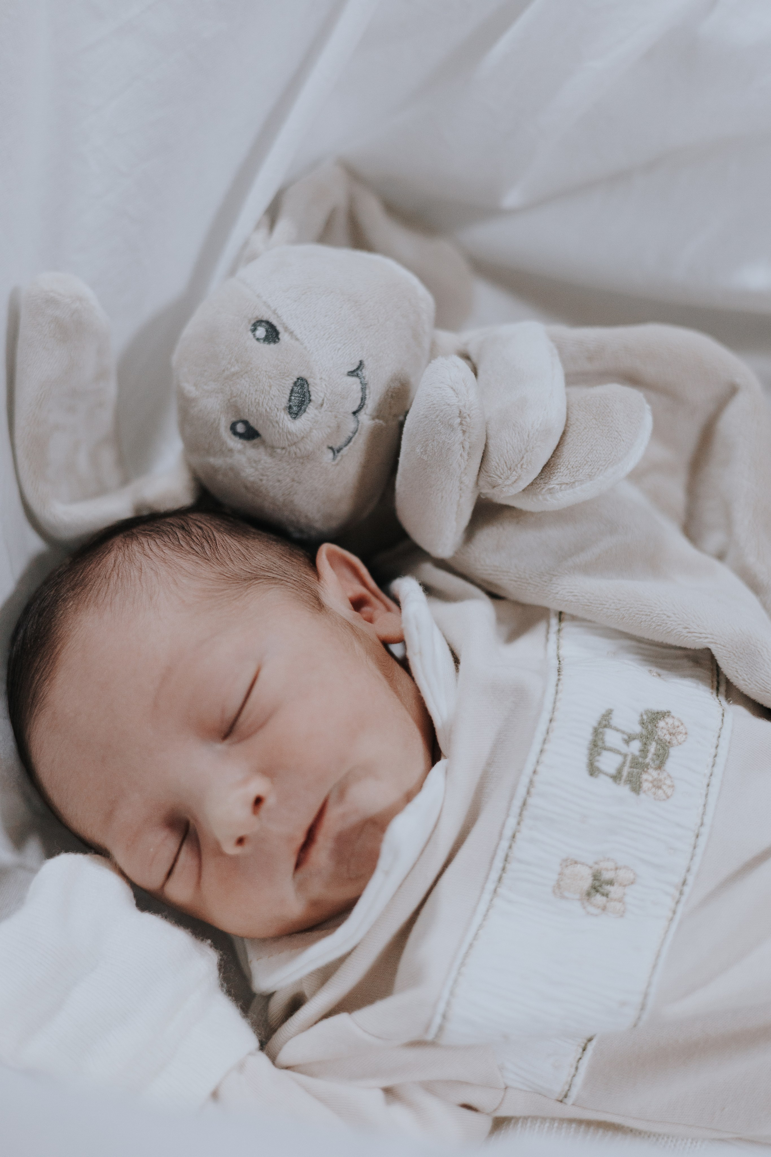 Bem vindo Arthur. Salvy fotografia