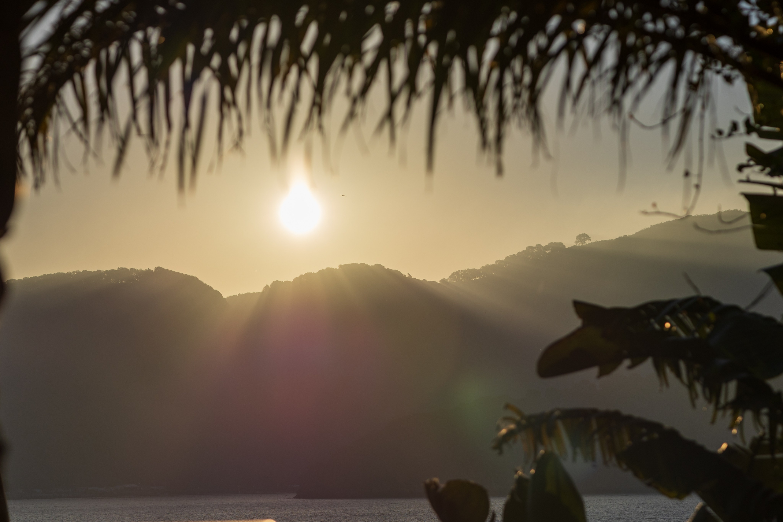 San Francisco. Aleks.photo | Book a photoshoot