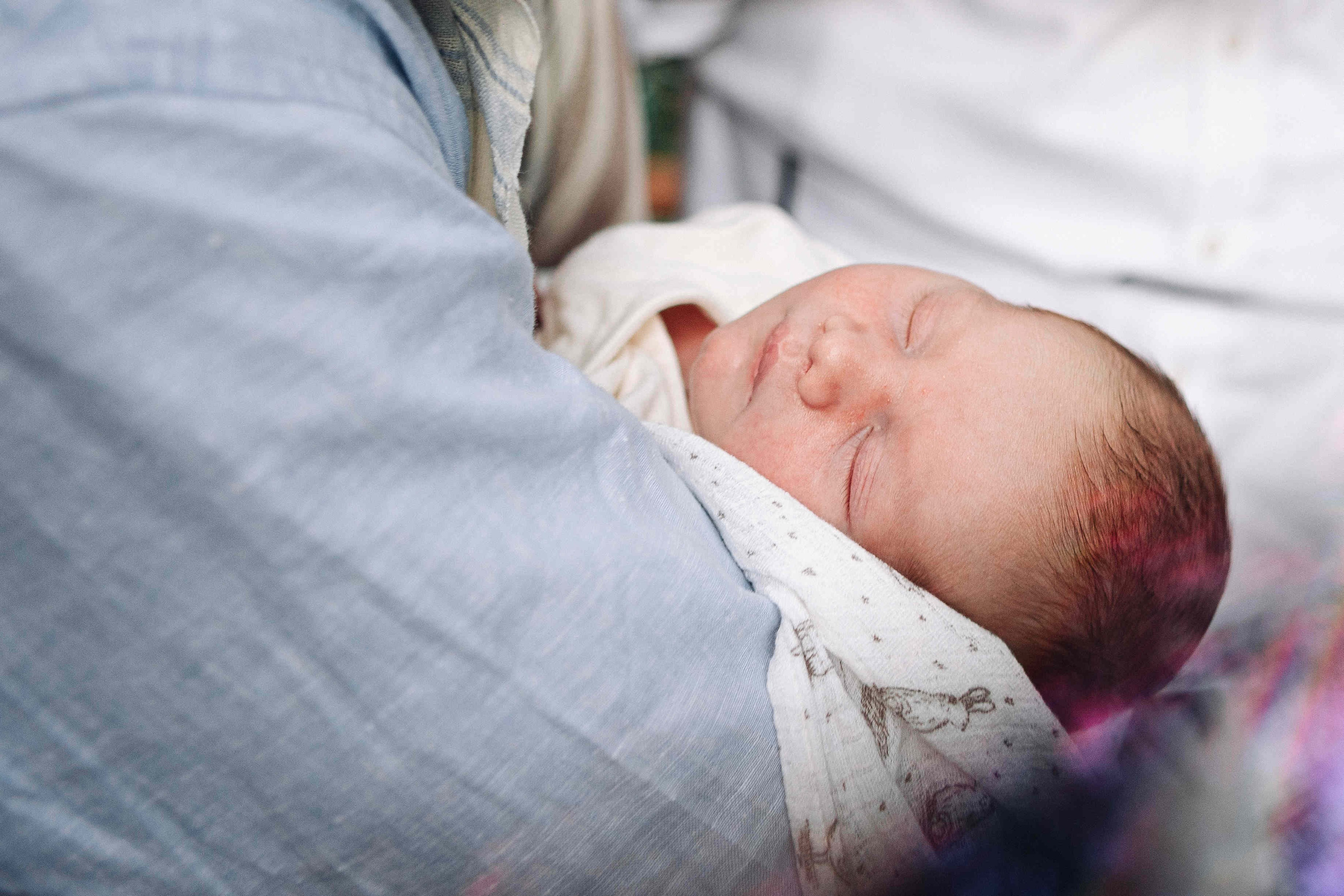 BRIT MILA IN NATURE IN JERUSALEM. Https://shi-photo.com/