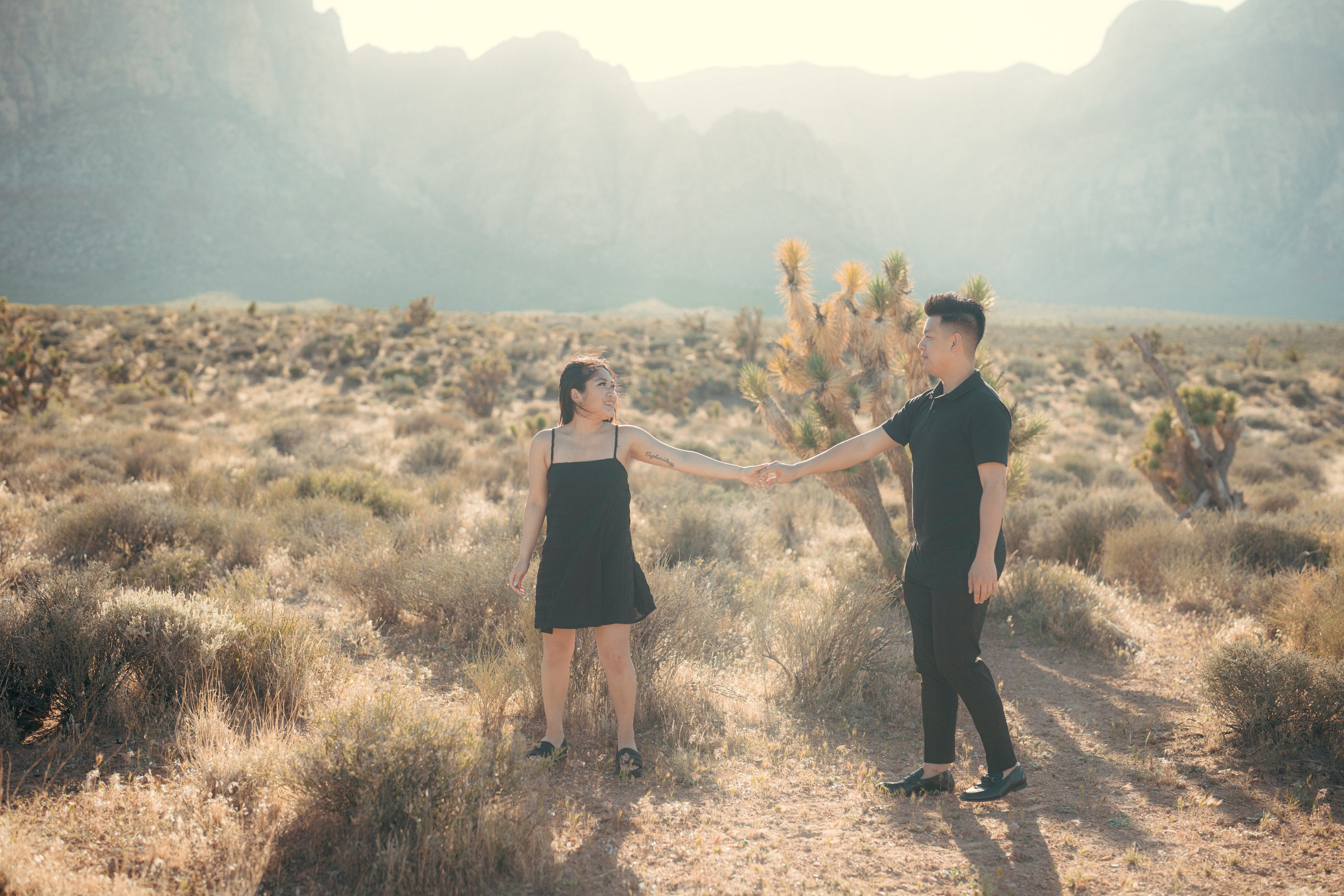 Brian&Christina. Marriage Proposal. Wedding & elopement photographer Viktoriya Kravtsov. Las Vegas