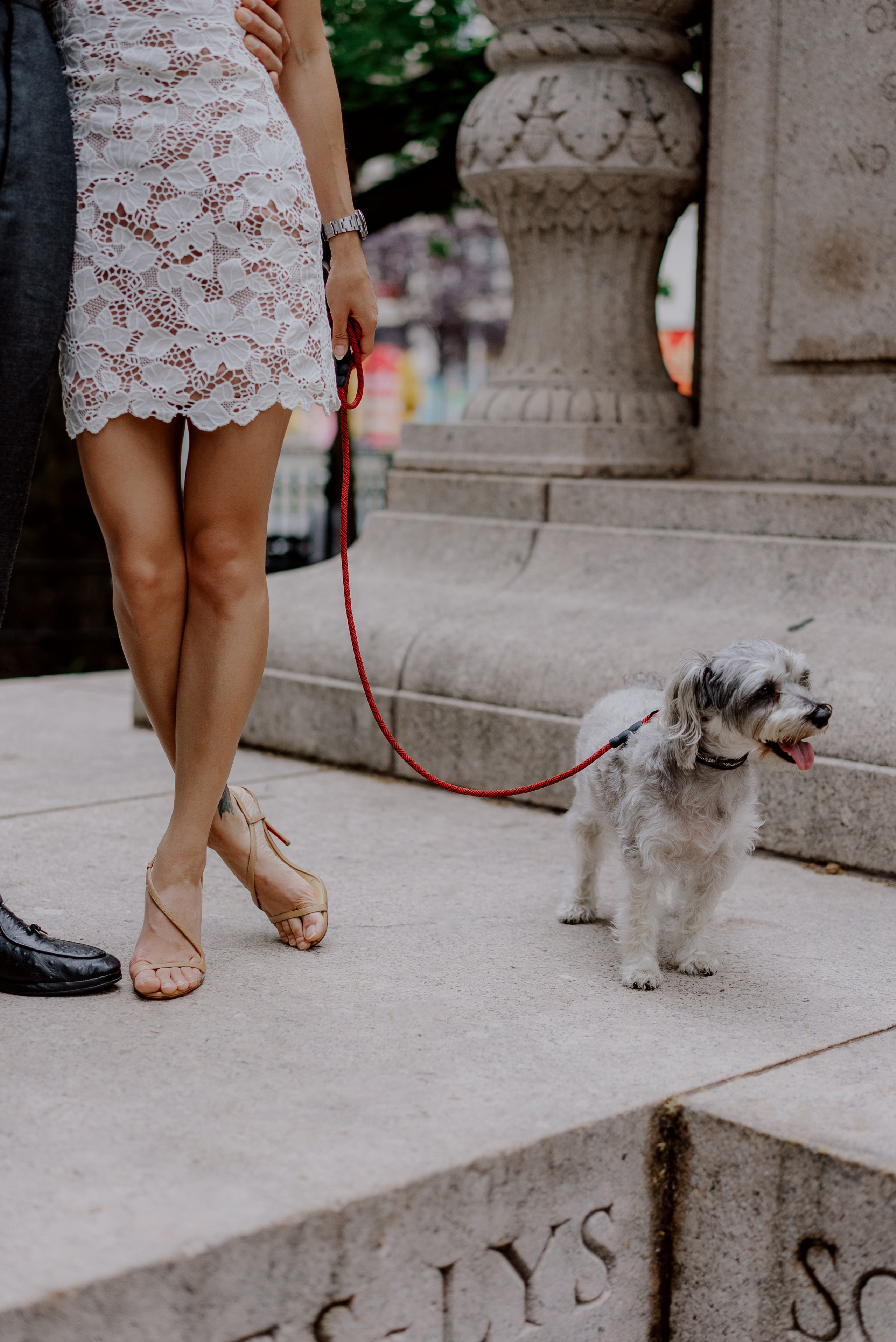 Love in the city. Videographer and photographer in New York // MAKAROV.VIDEO