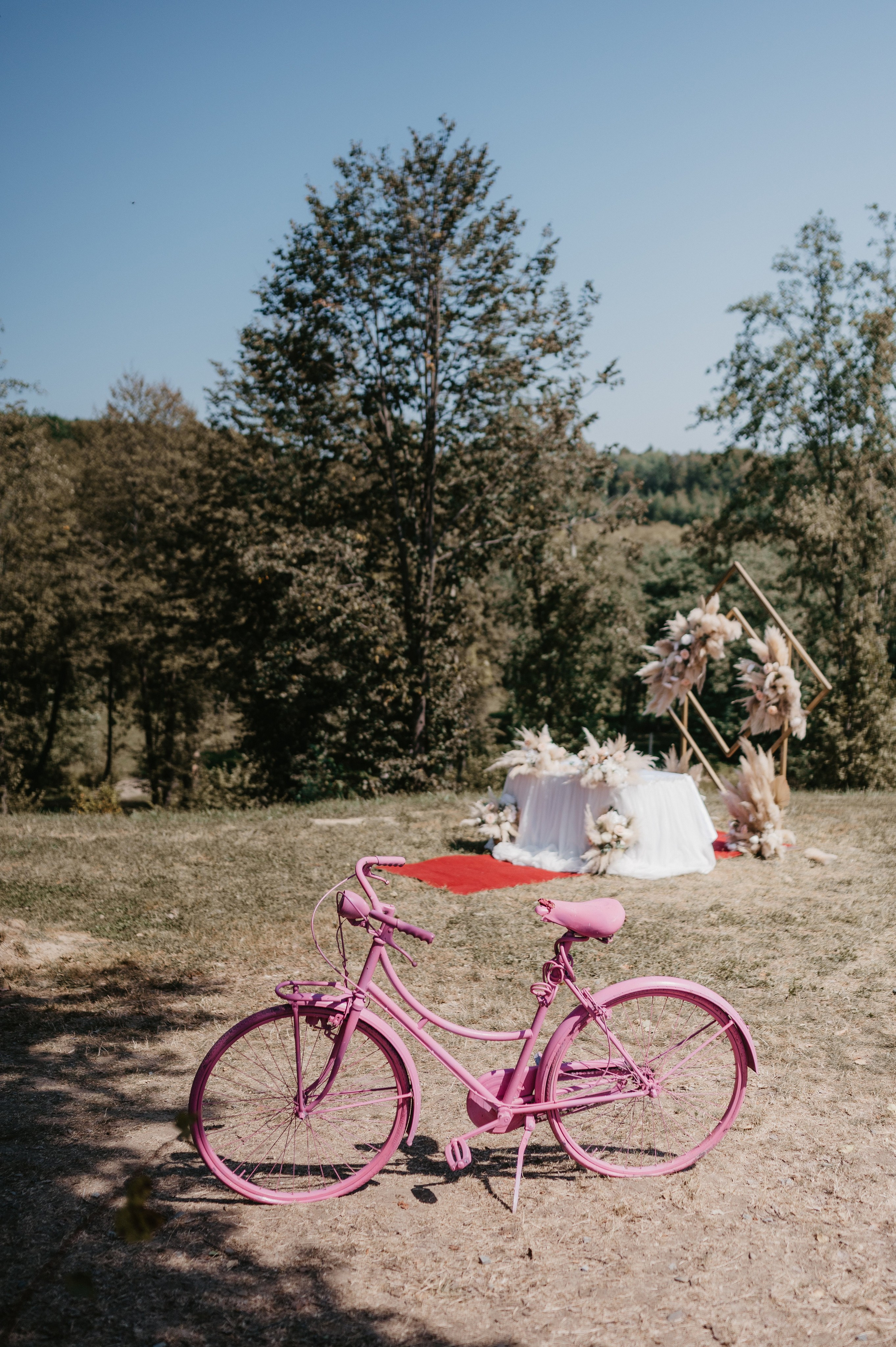 Dumitru si Andreea. Valentin Melen — wedding photographer