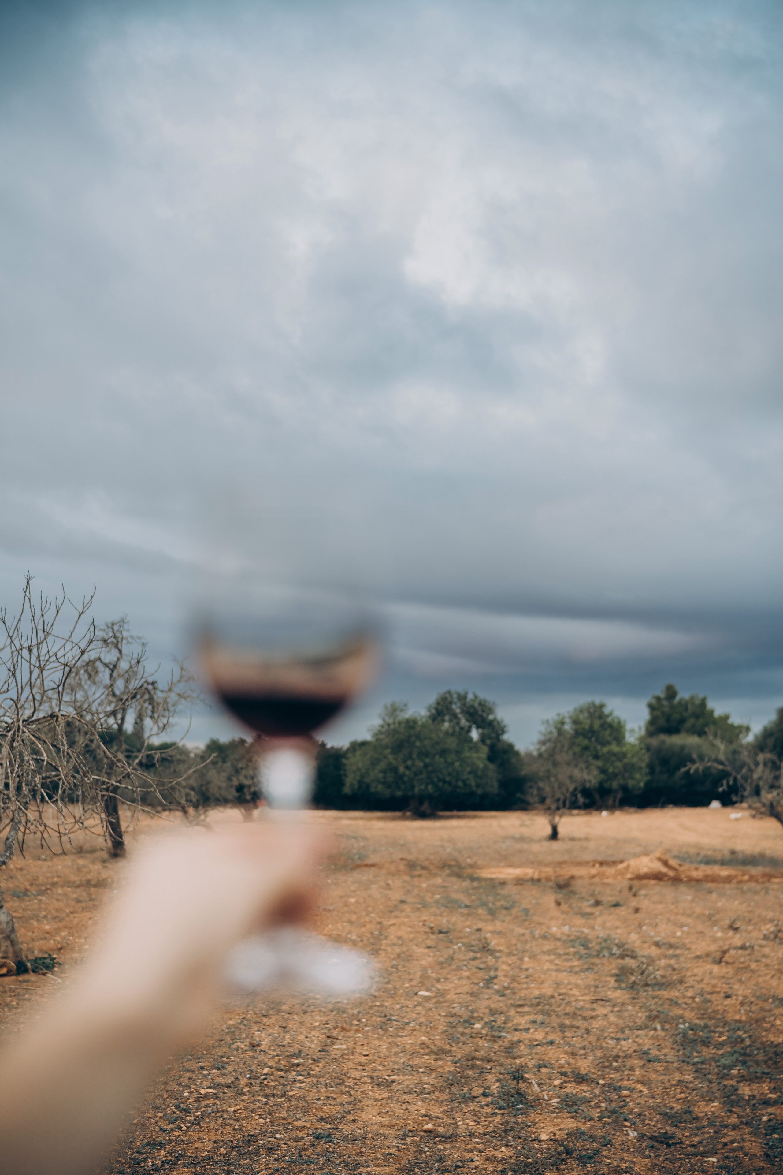 Winemaker. Фотограф Пальма де Майорка