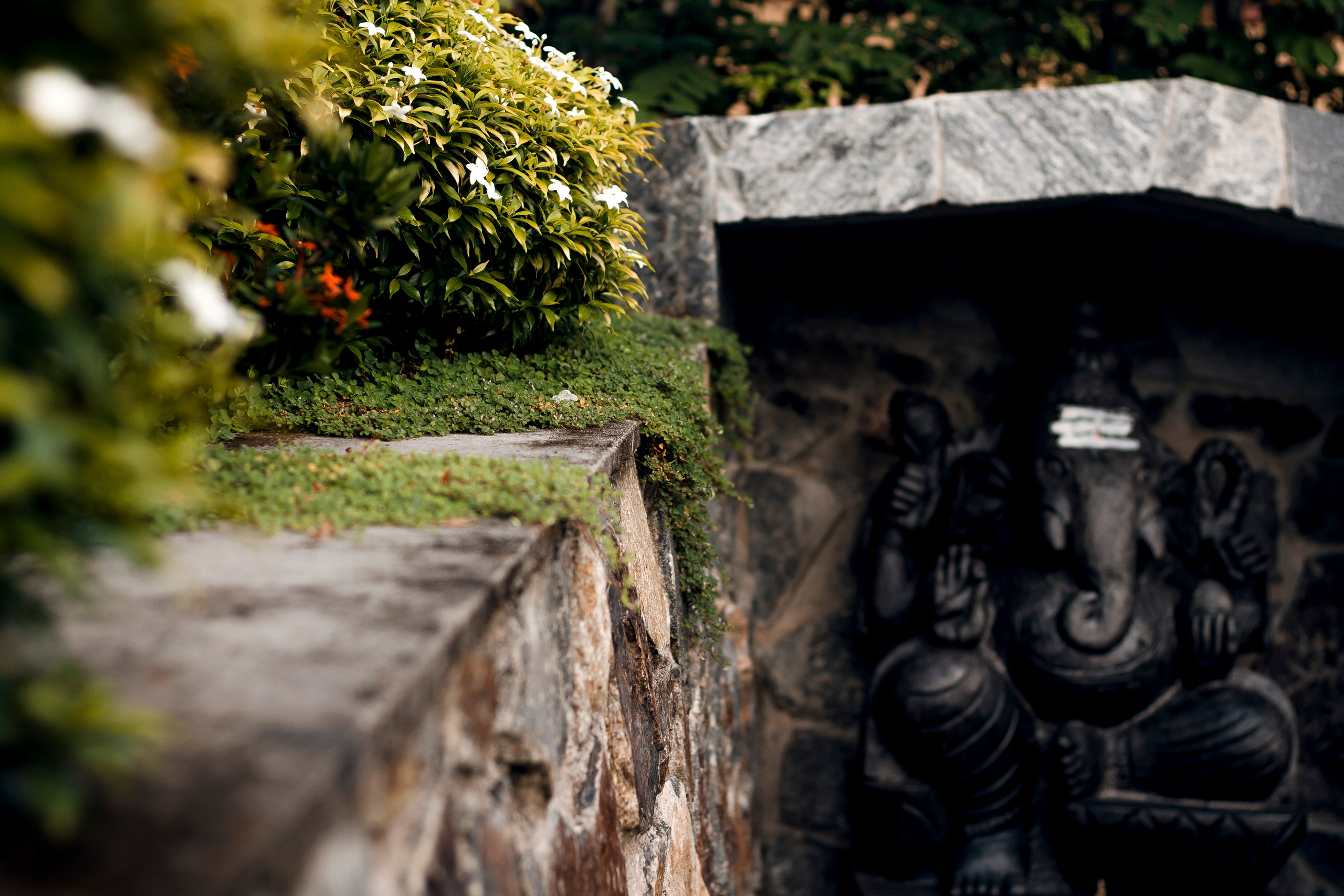 Sri Lanka. Art Photographer