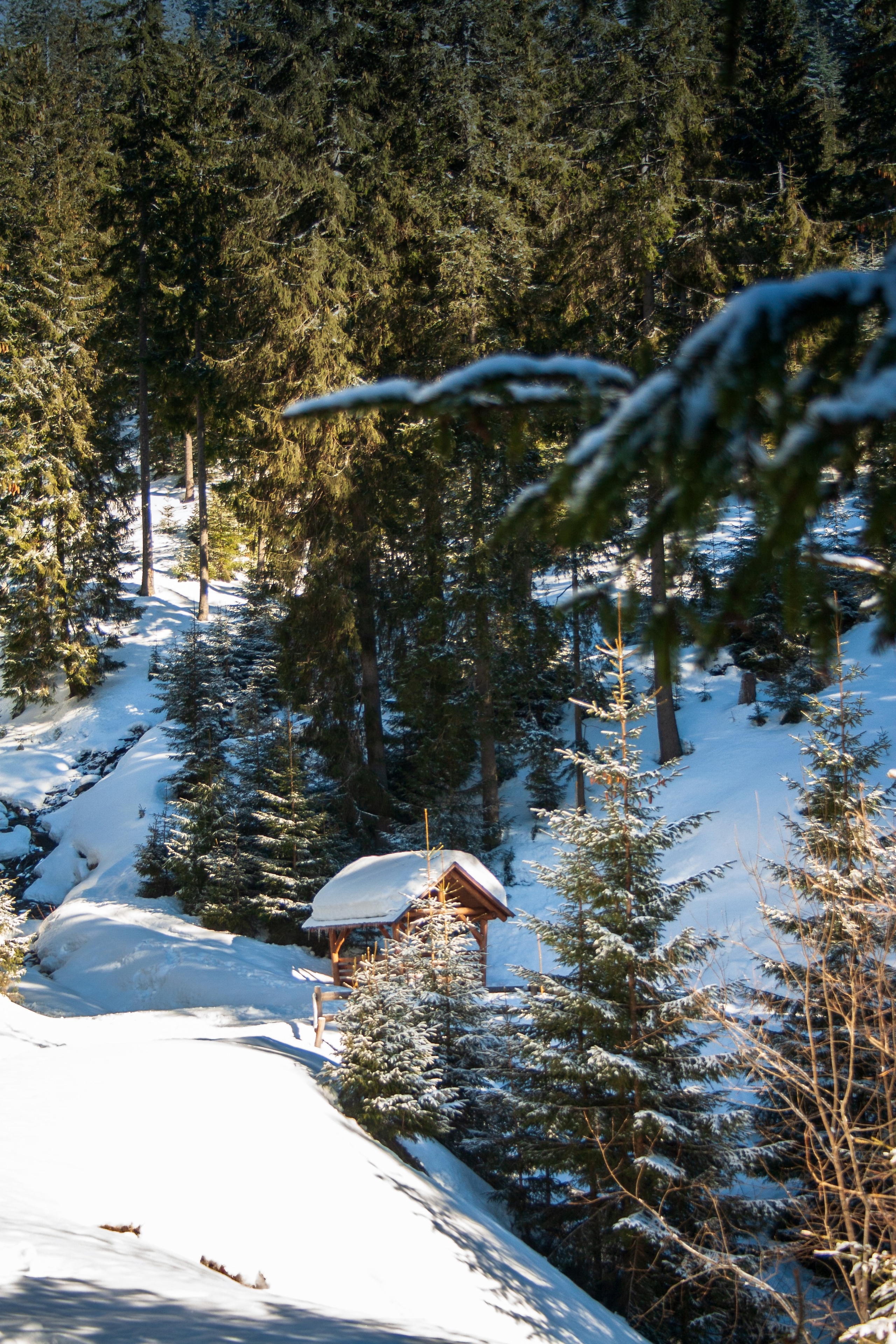 Mountain landscapes. Portrait and still life photographer. Designer, photographer, and illustrator