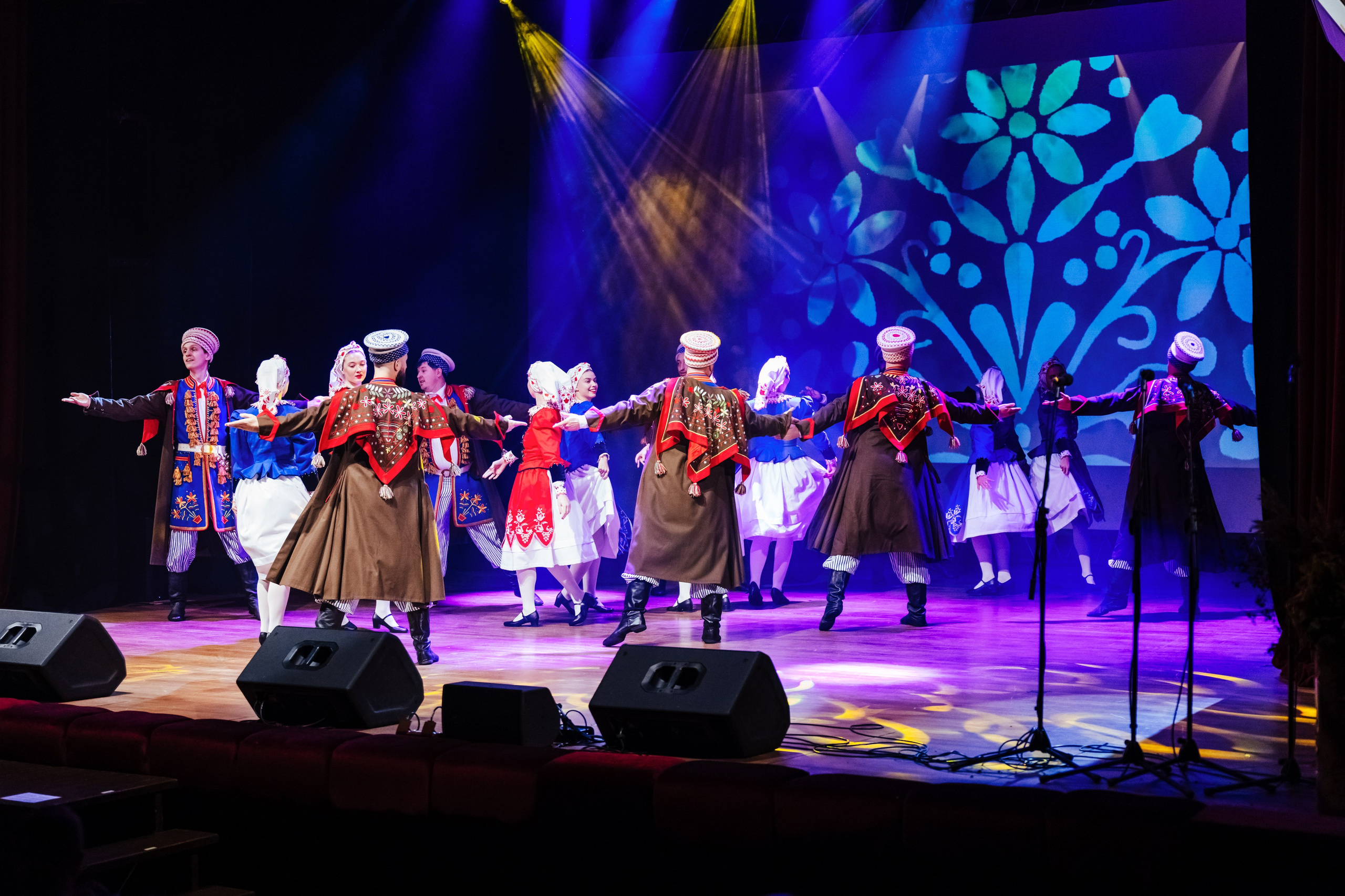 Traku kulturos centro koncertas. OnePIXEL