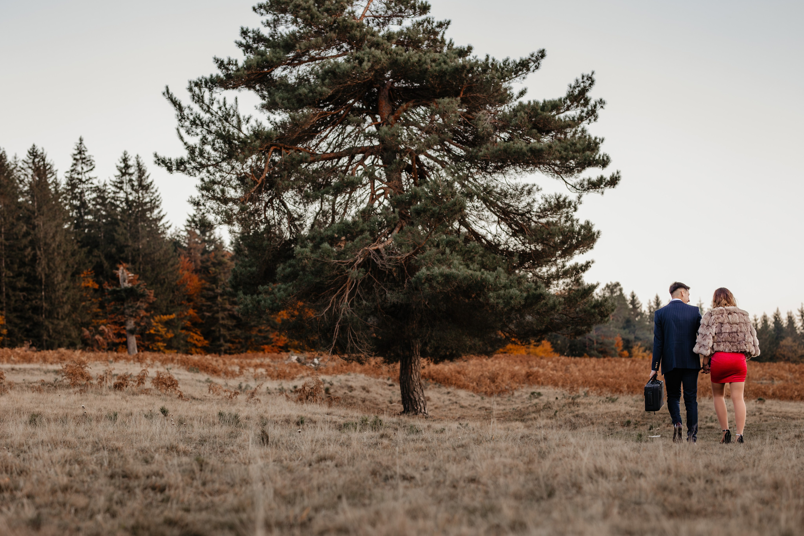 Majorat Stefan. Ionut Brehuescu — Fotograf