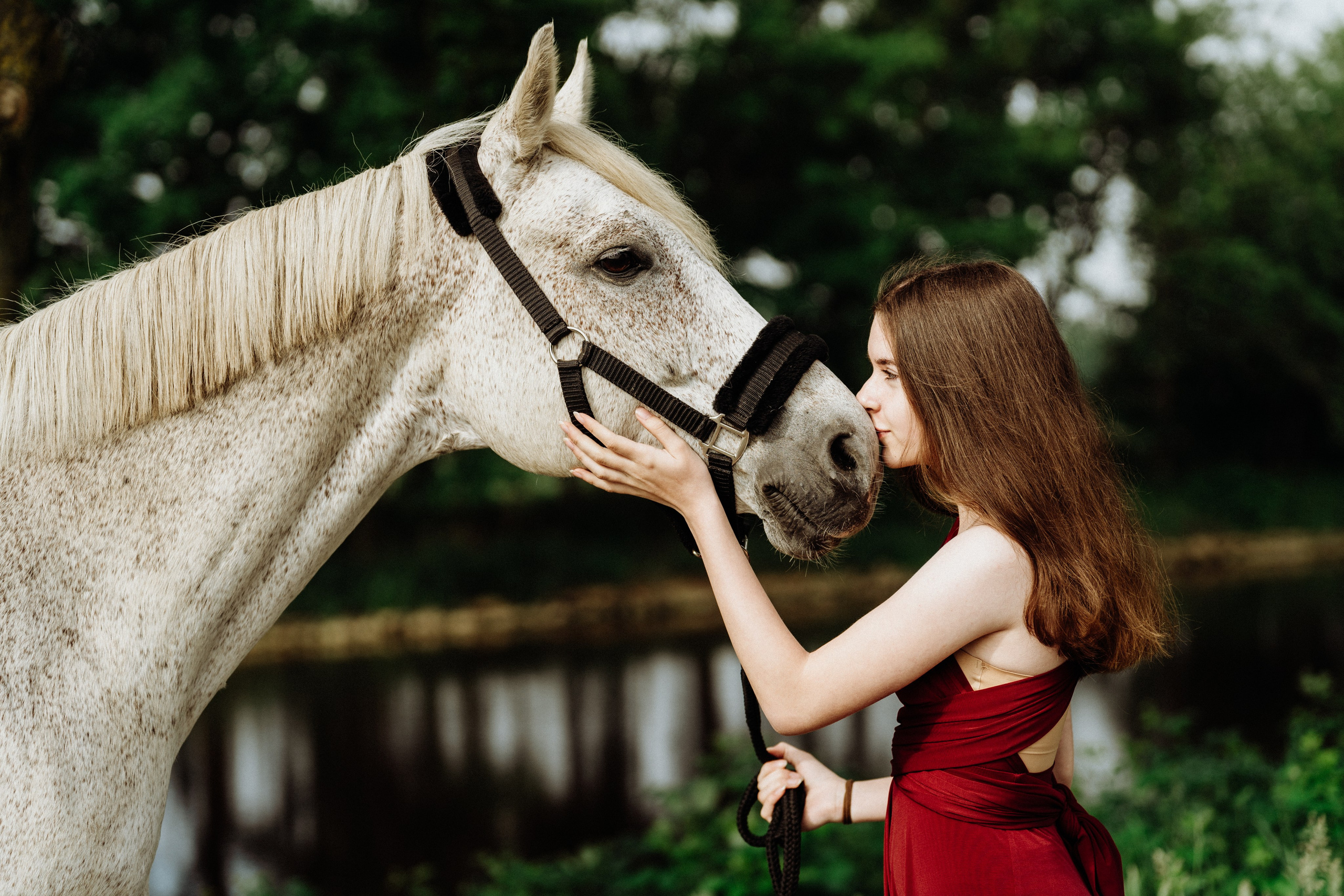 Pferdeshooting - Lara. Thorben Ihler - Dein Fotograf aus Emden