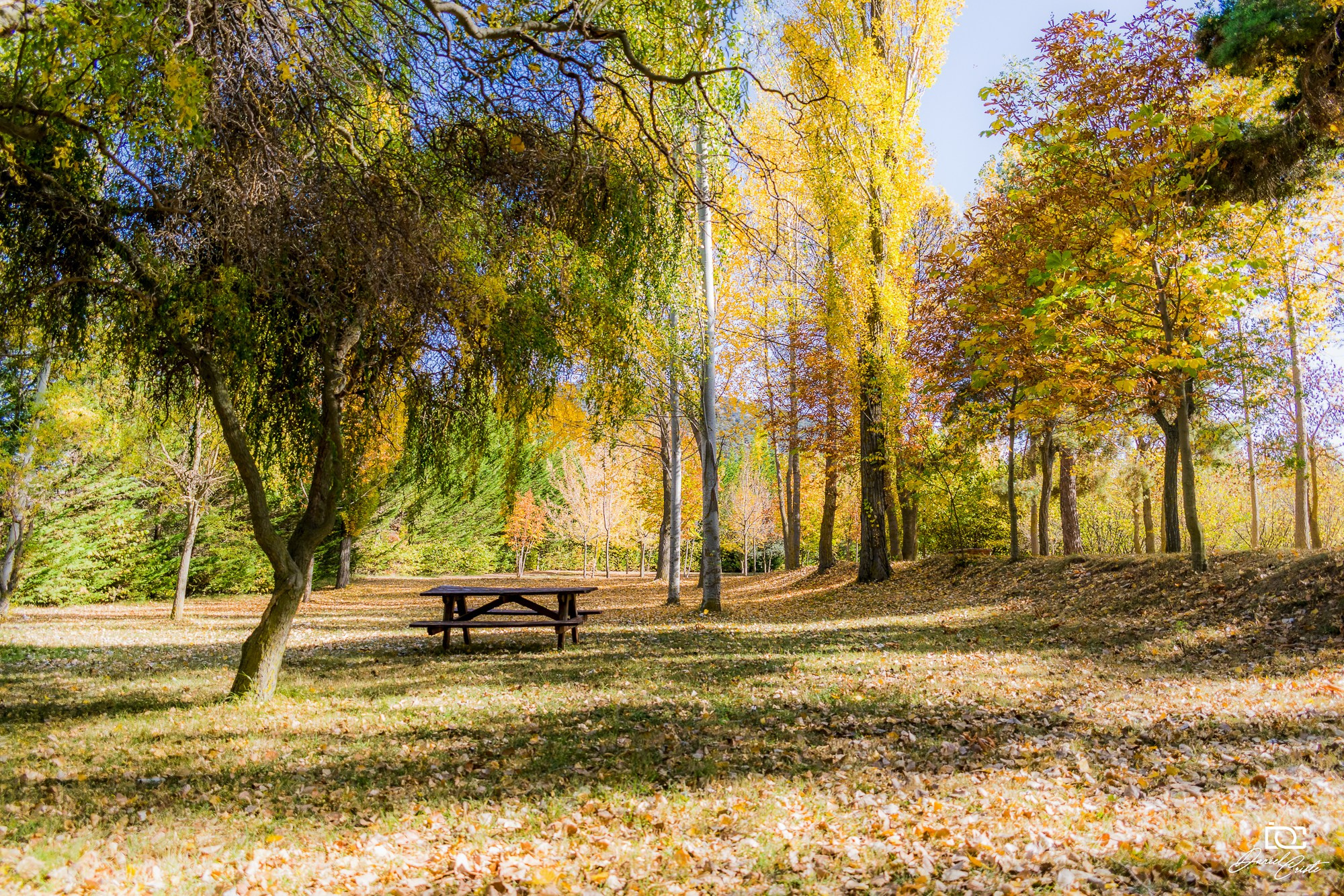 Peisaj /natura. Daniel Criste Fotograf