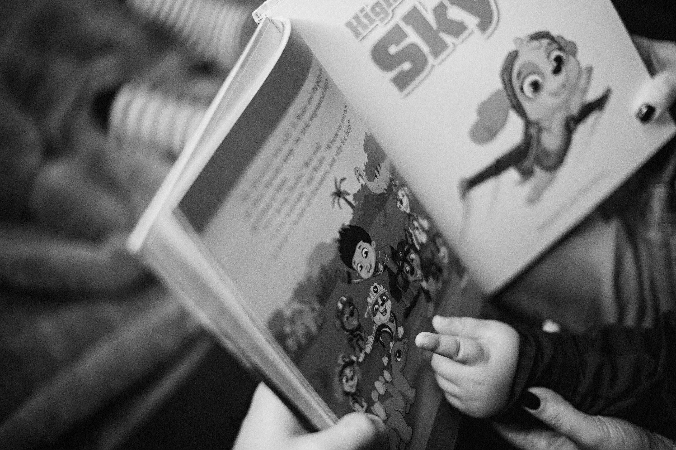 19.11.2023 Christmas Photoshoot. Wedding family event photographer in Chicago Nick Yushevich