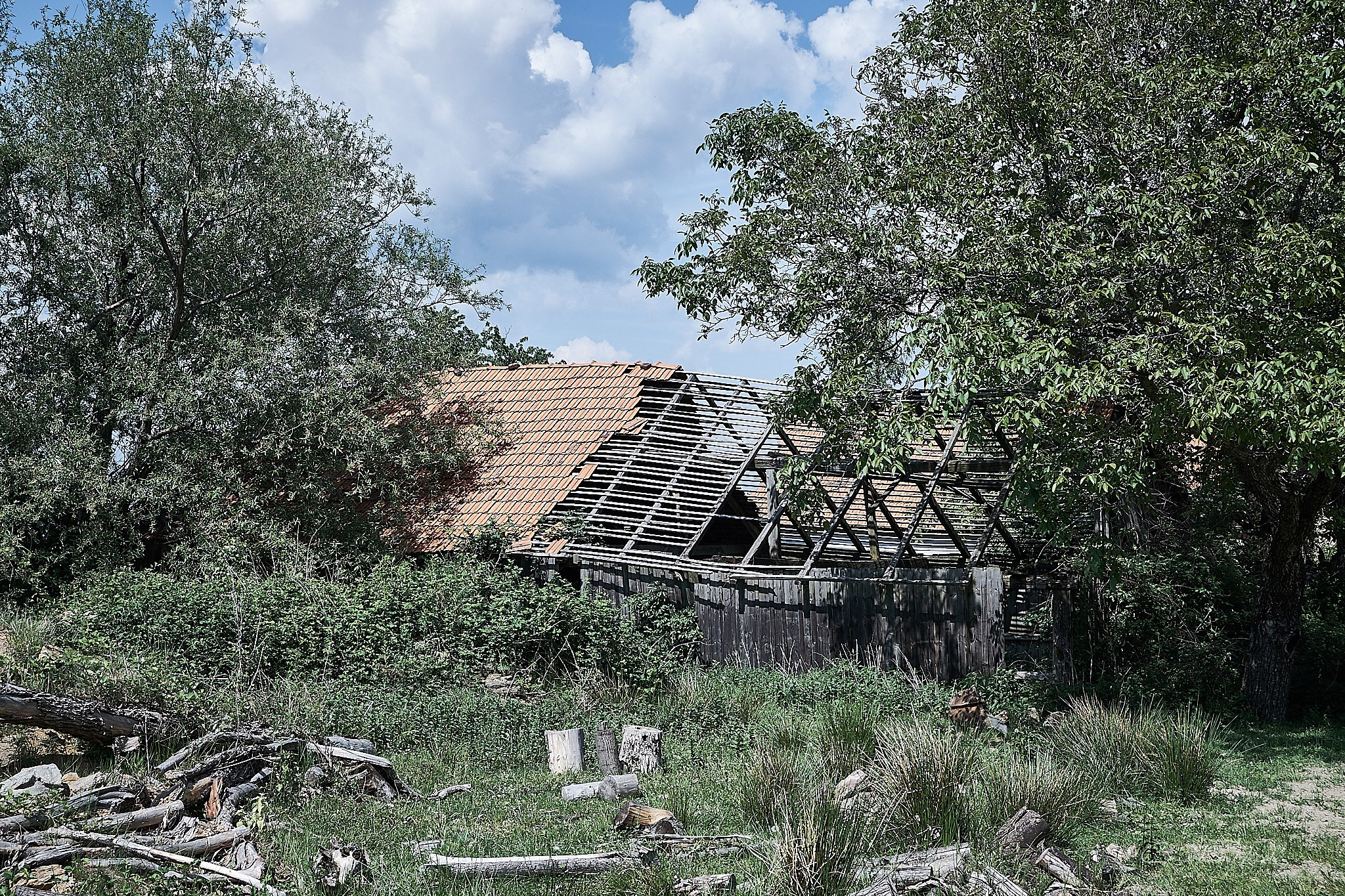 Lindenfeld, satul părăsit, jud. Caraș-Severin. Pagina principală