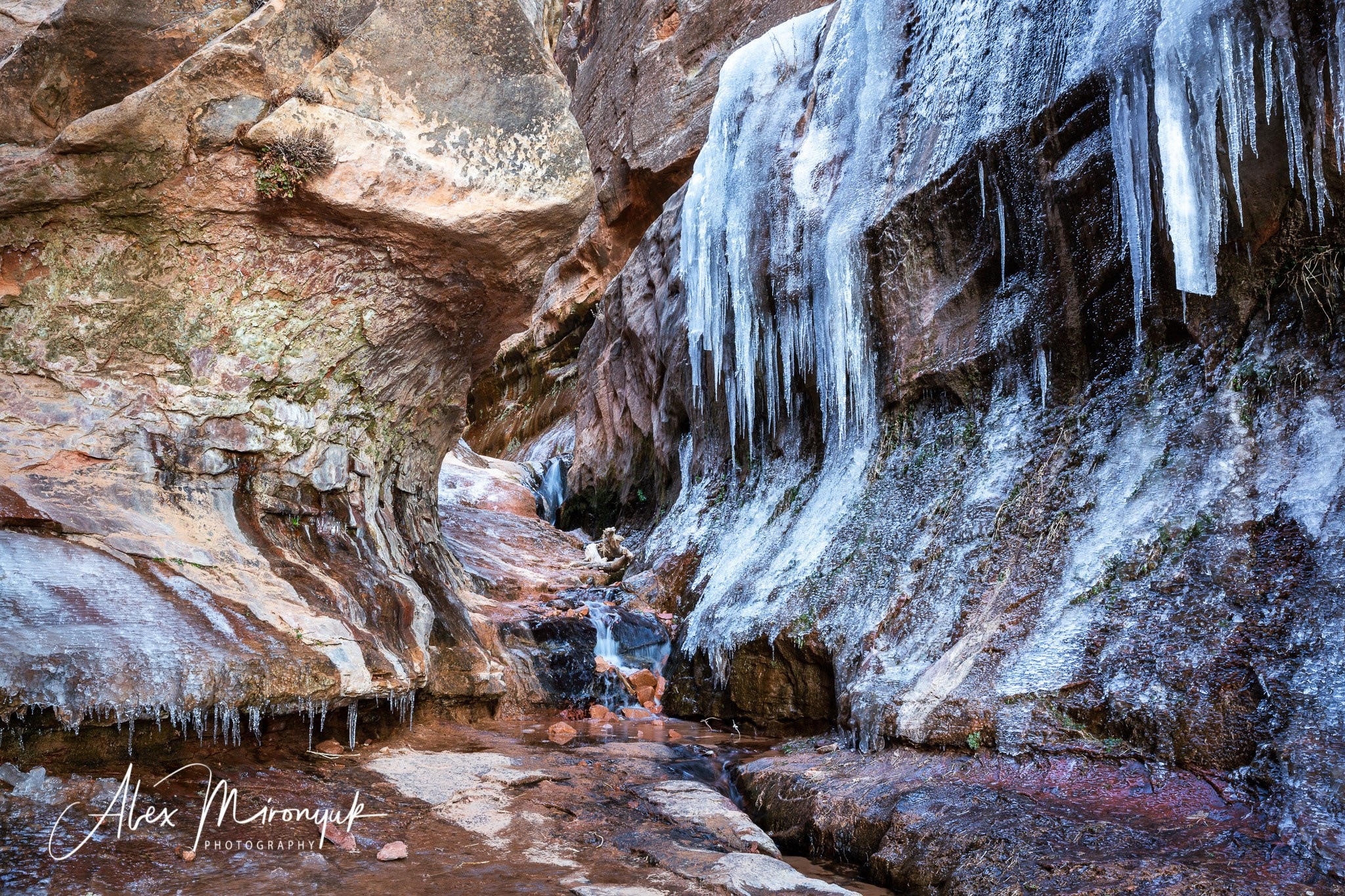 New Year In Utah. Pet, Senior, Landscape, portrait studio, photographer in Miami and Sou