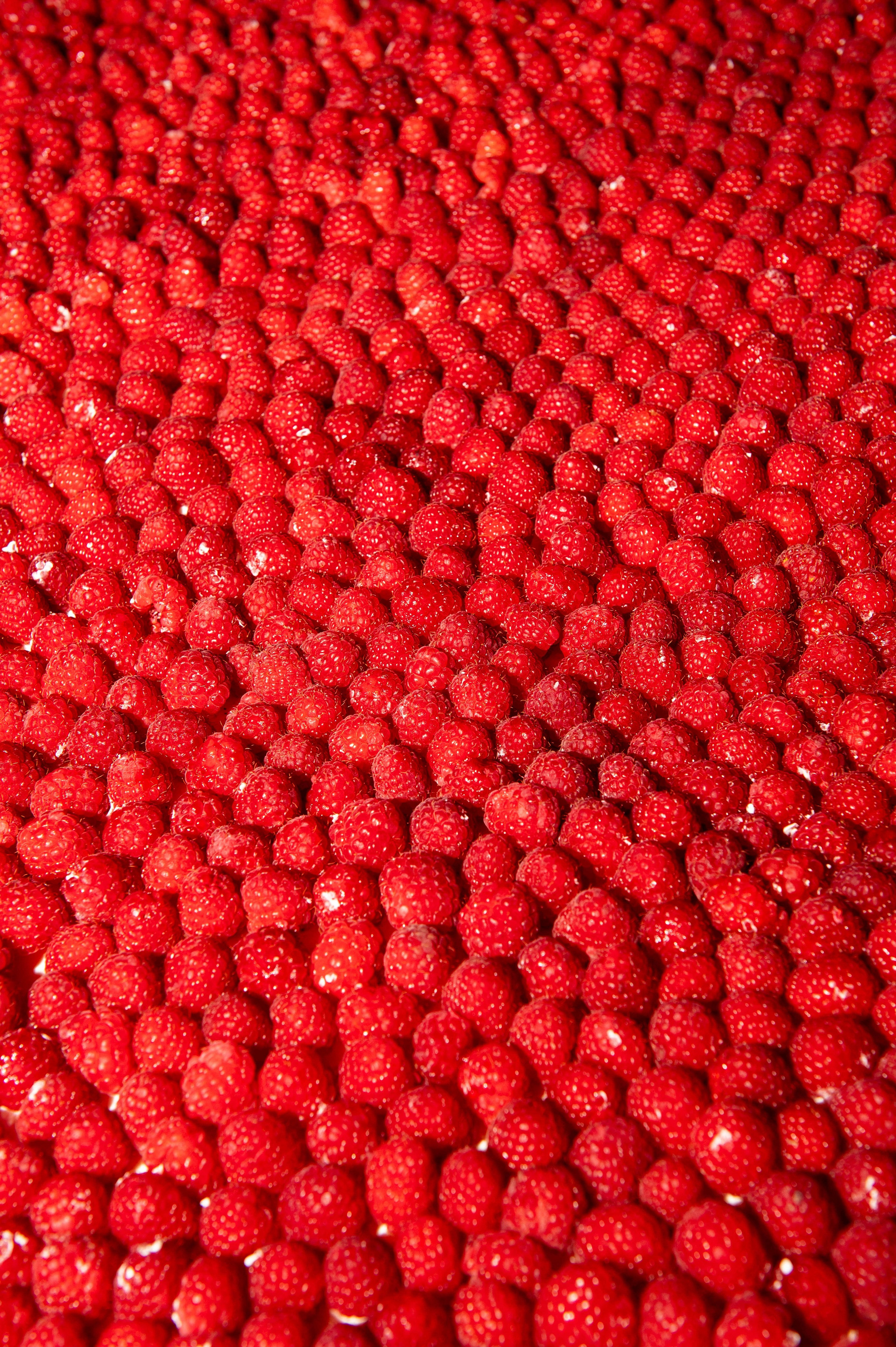 Lala & Daimen. Wedding photographer in Spain