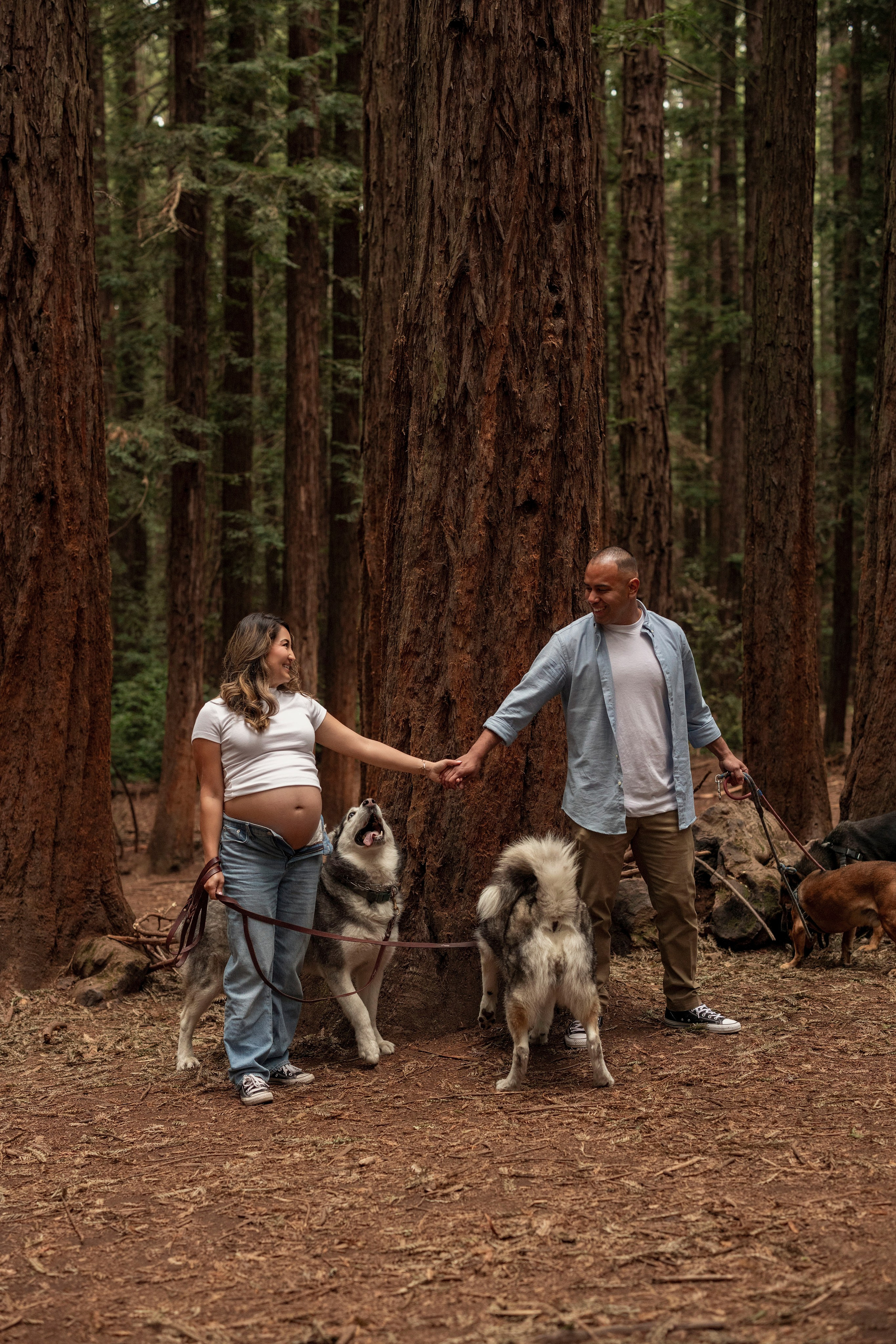 Wood. Bay Area Photographer: family, maternity, love story, wedding