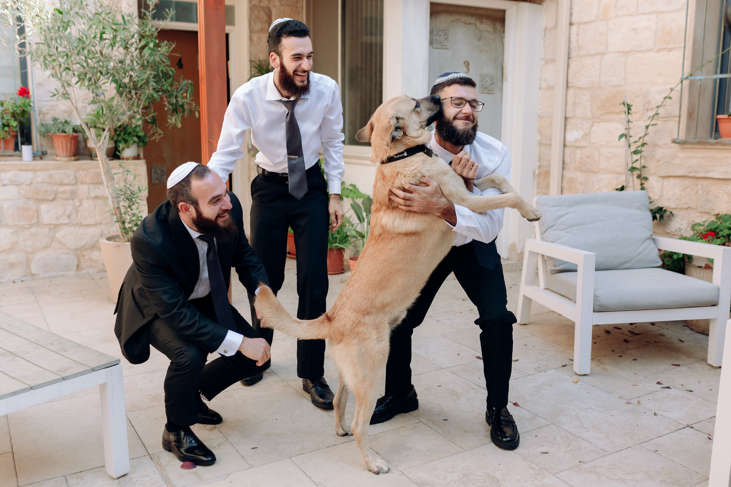 Dreams Came True. Https://shi-photo.com/