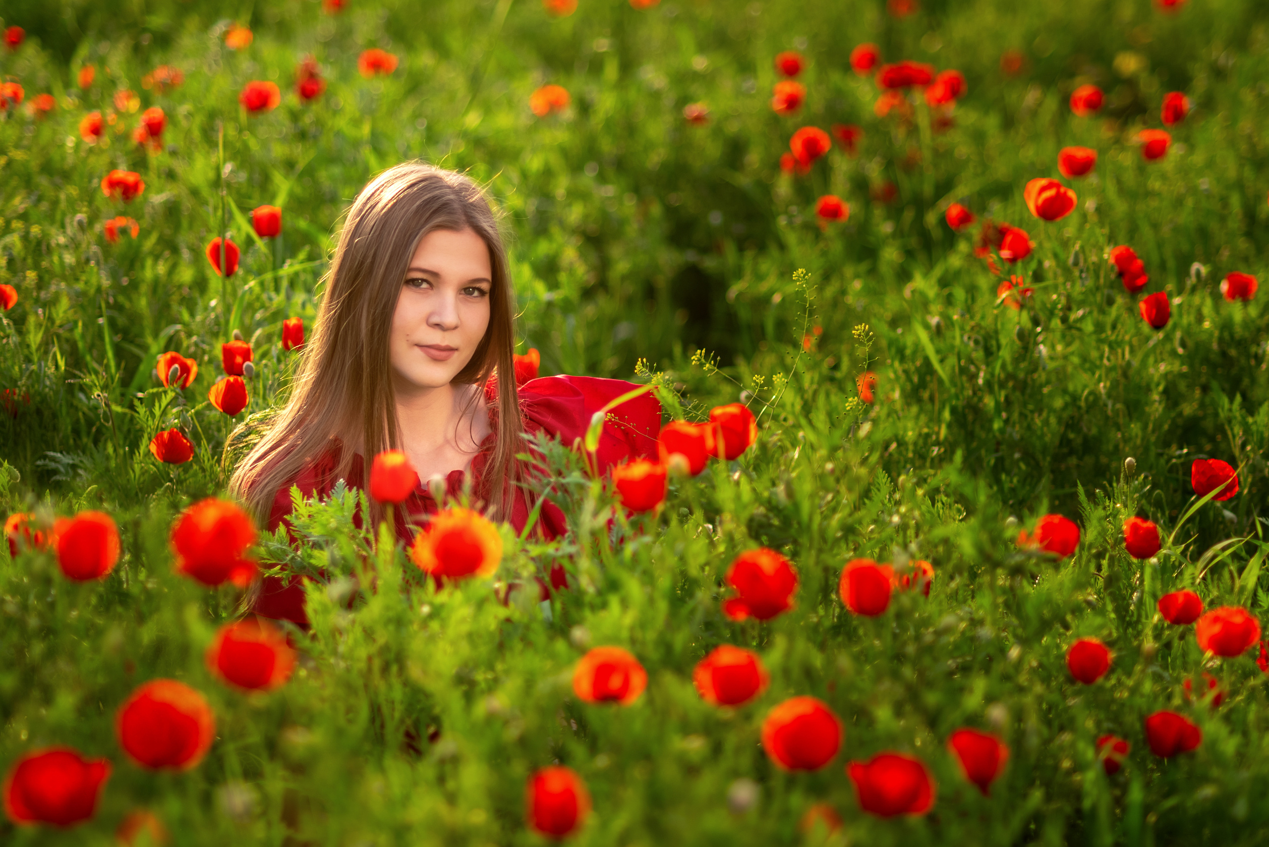 Маковое поле. Семейный и детский фотограф в Ташкенте Луиза