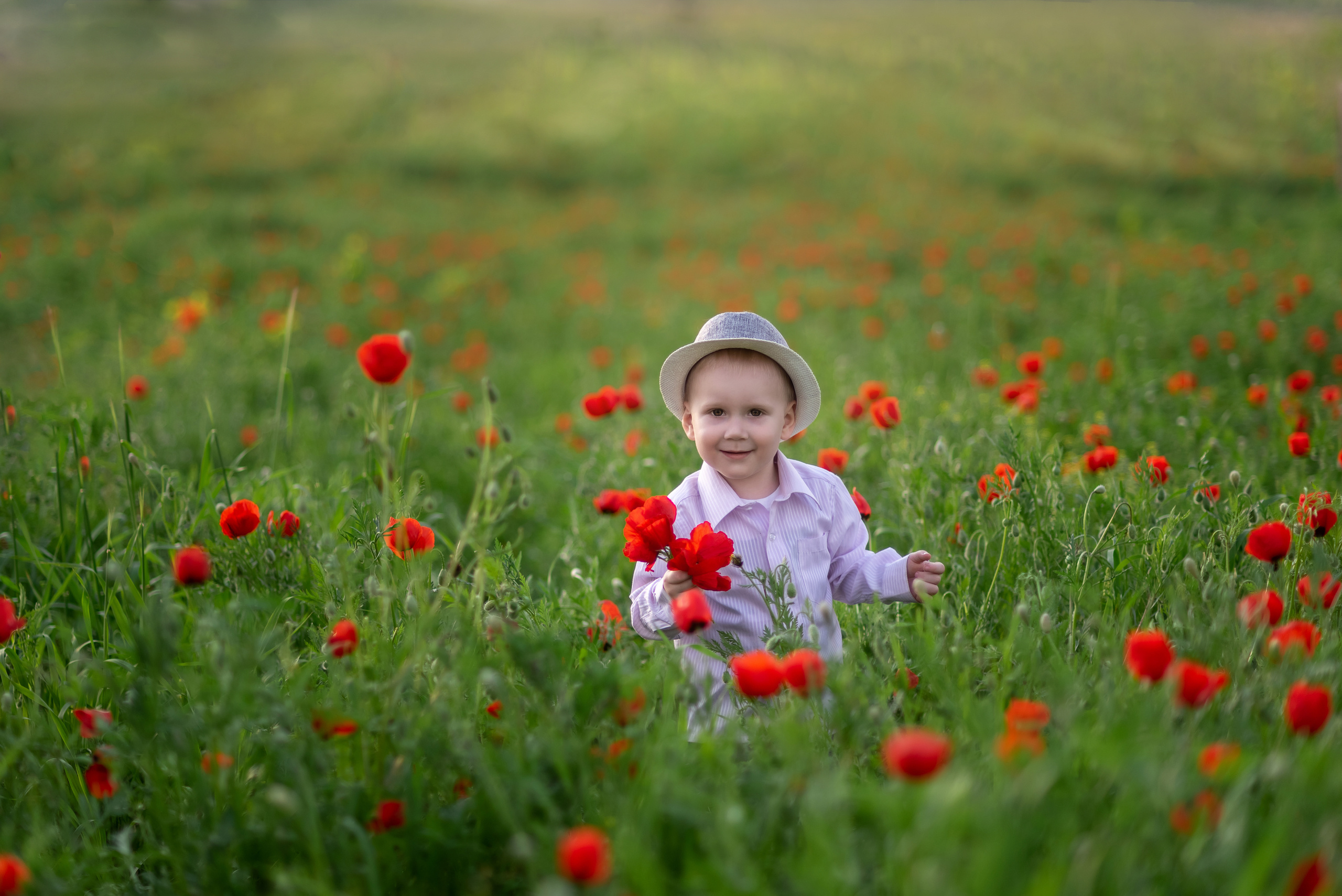 Маковое поле. Семейный и детский фотограф в Ташкенте Луиза
