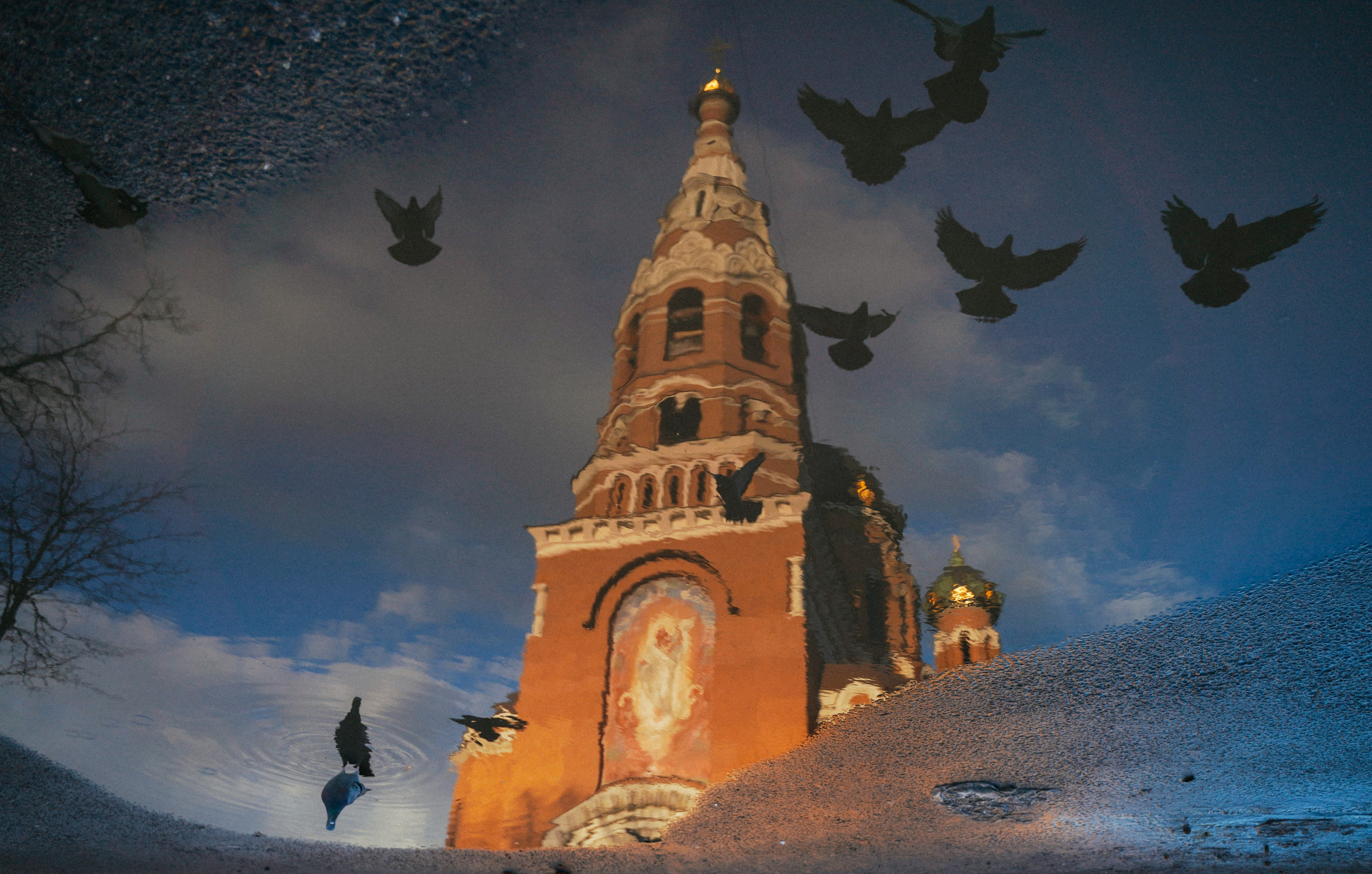 Пернатый психоз. Стрит-фотография, полная абсурда, идиотизма и красоты