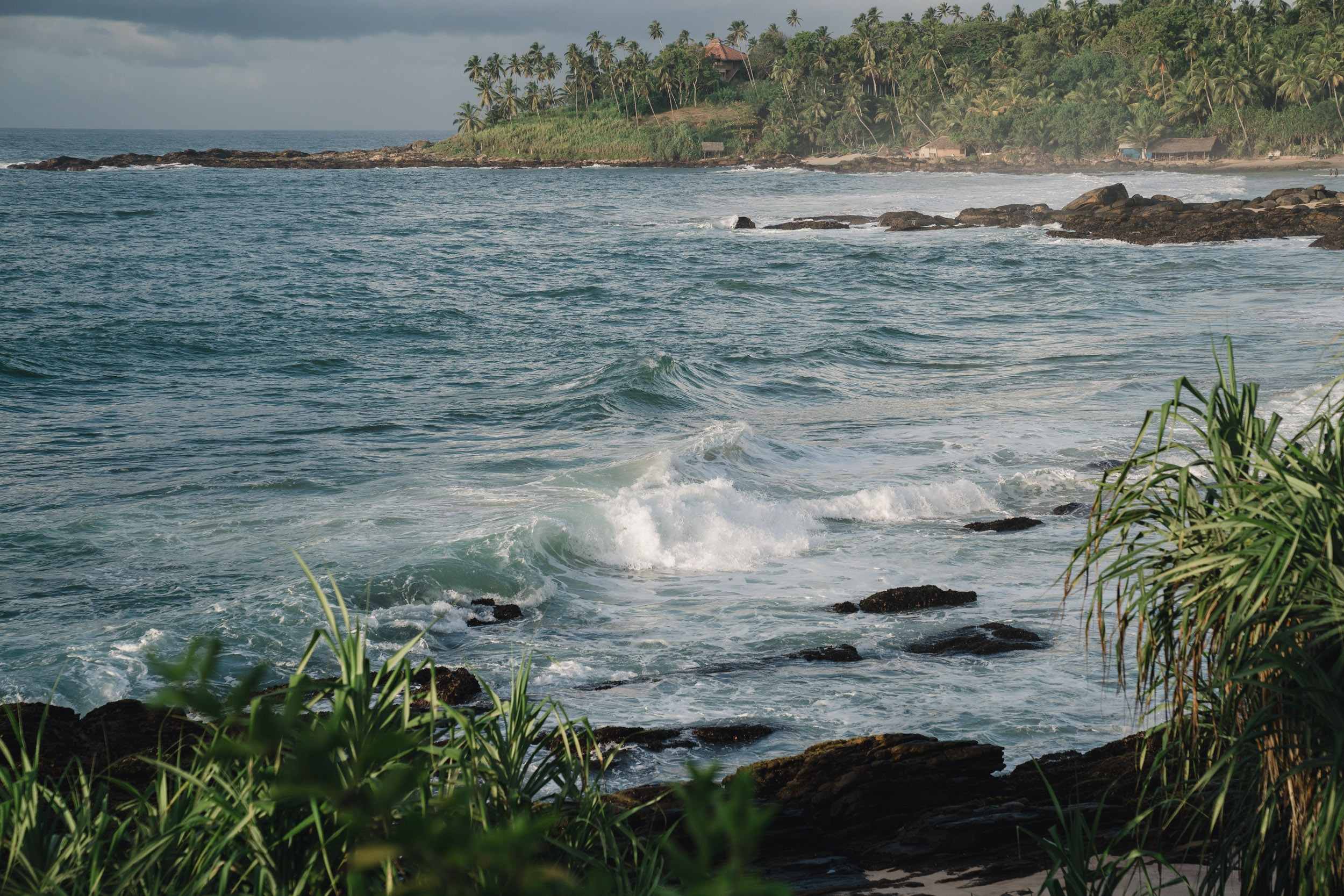 Landscape of Tangalle scenery, ocean and palm trees
