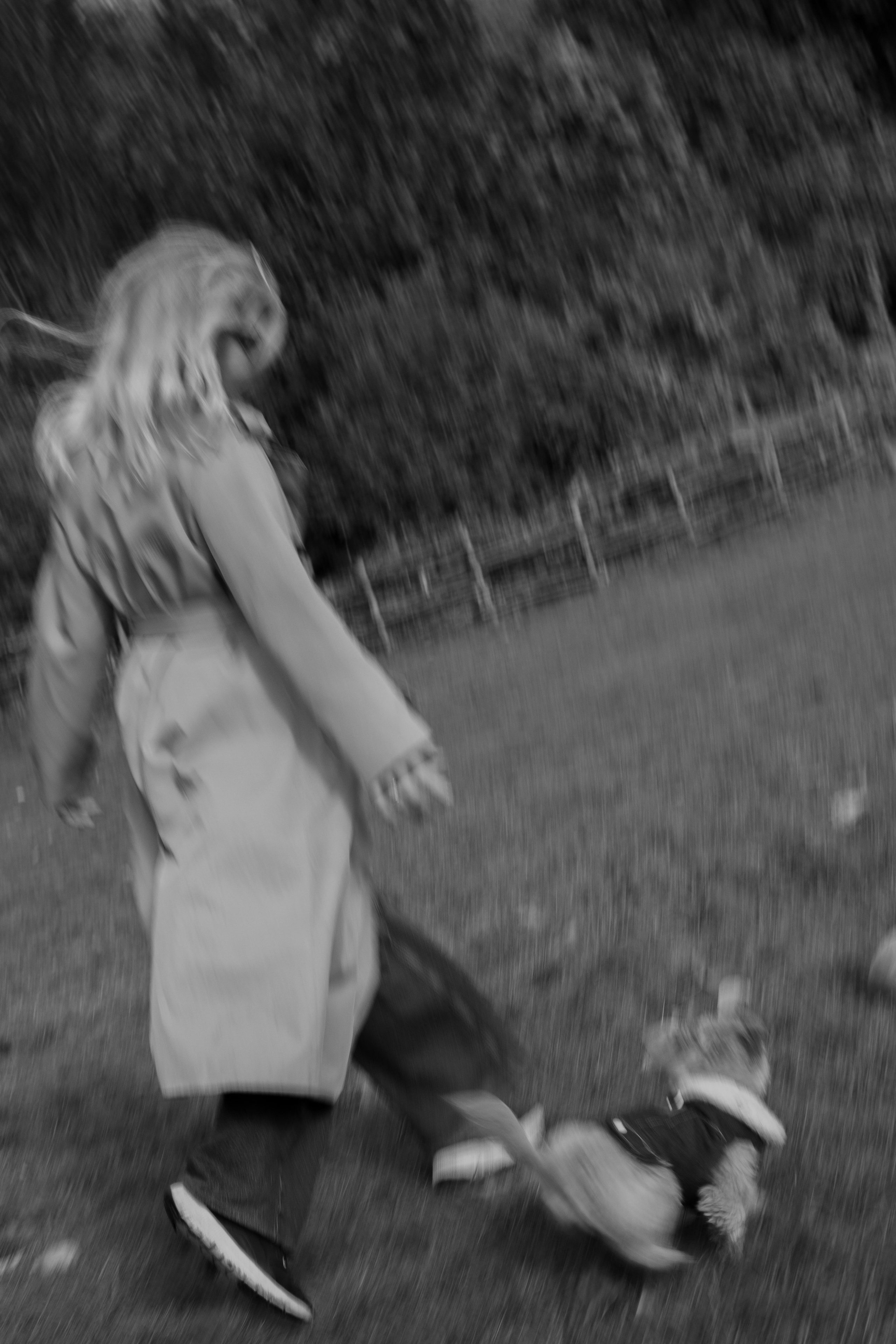 Barney, Nastya et Kolya. Photographe animalier à Paris Anna Pereira