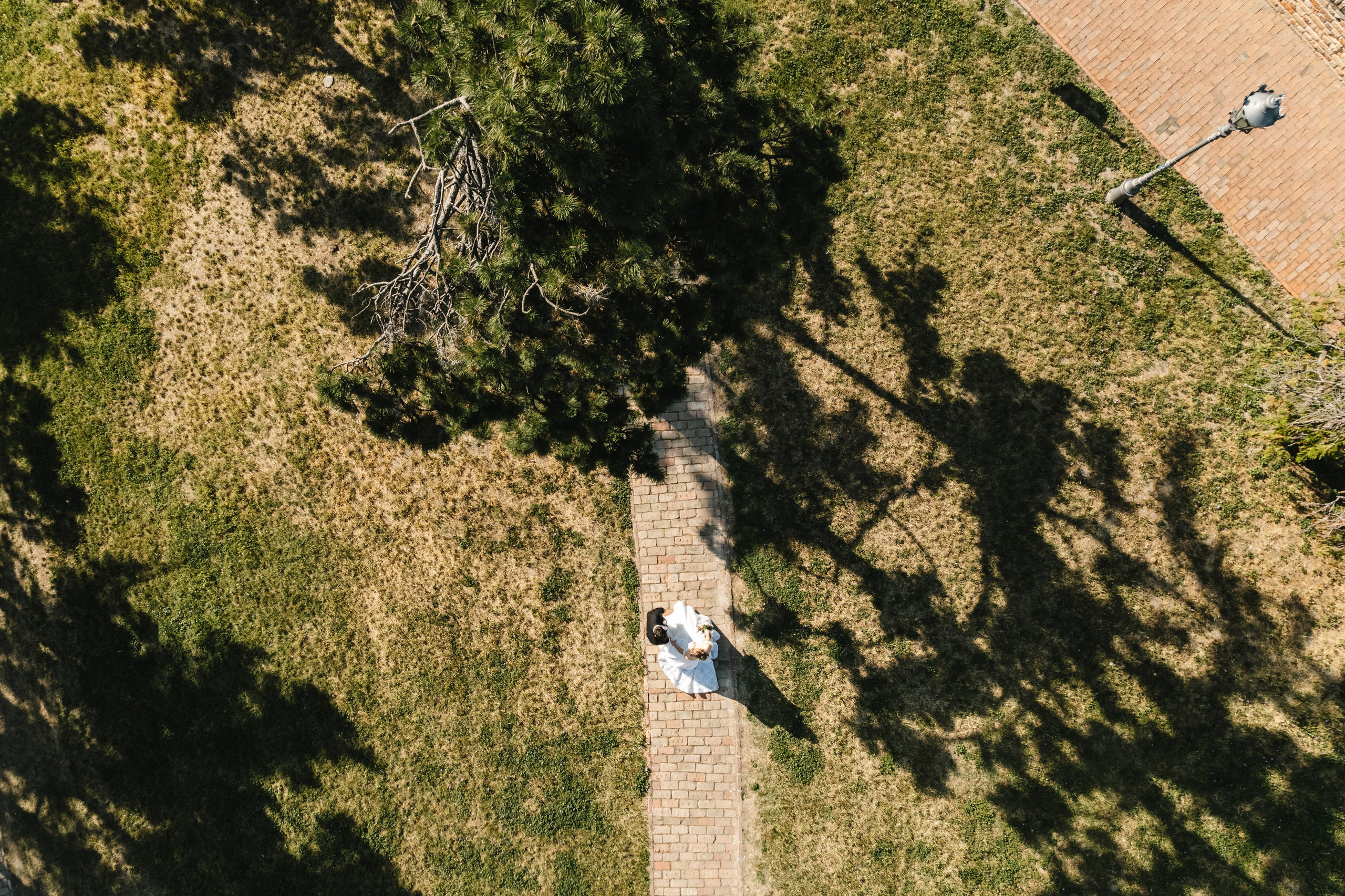Sladjana i Nikola. Wedding fotograf - Zrenjanin - Novi Sad - Beograd – Bojan Vijatov