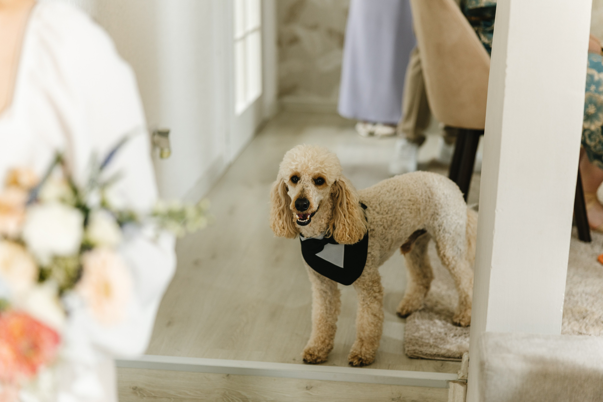 Sladjana i Nikola. Wedding fotograf - Zrenjanin - Novi Sad - Beograd – Bojan Vijatov