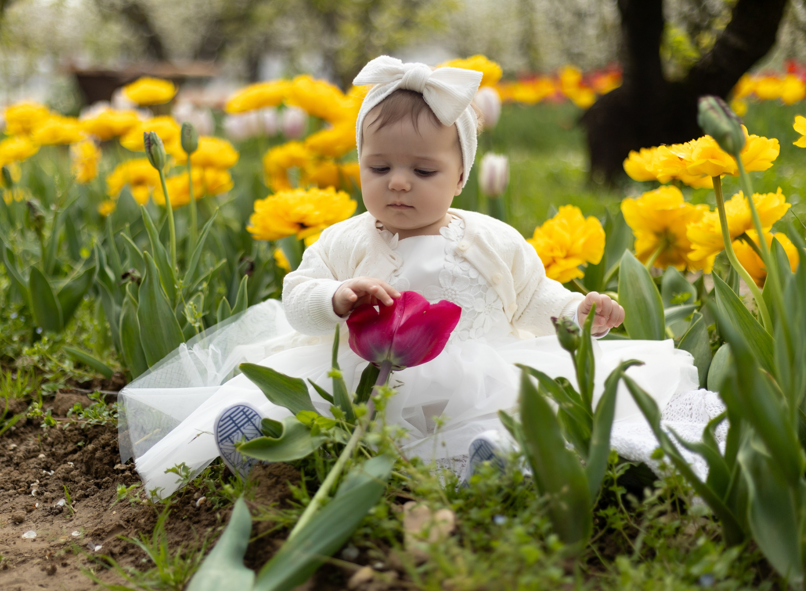 Camilla, Annalisa e Vanni. Luci e Capricci Photography
