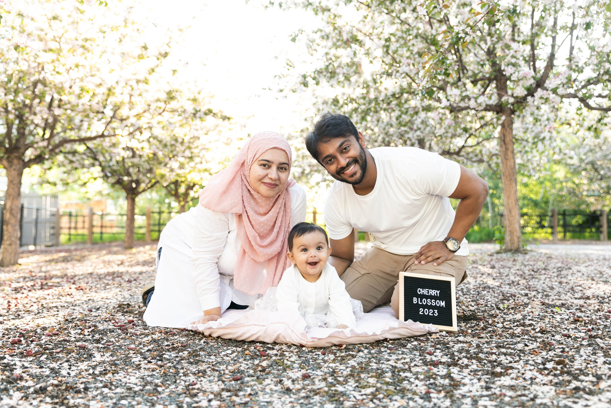 Nabeel Cherry Blossoms. Fotografía accesible en Calgary