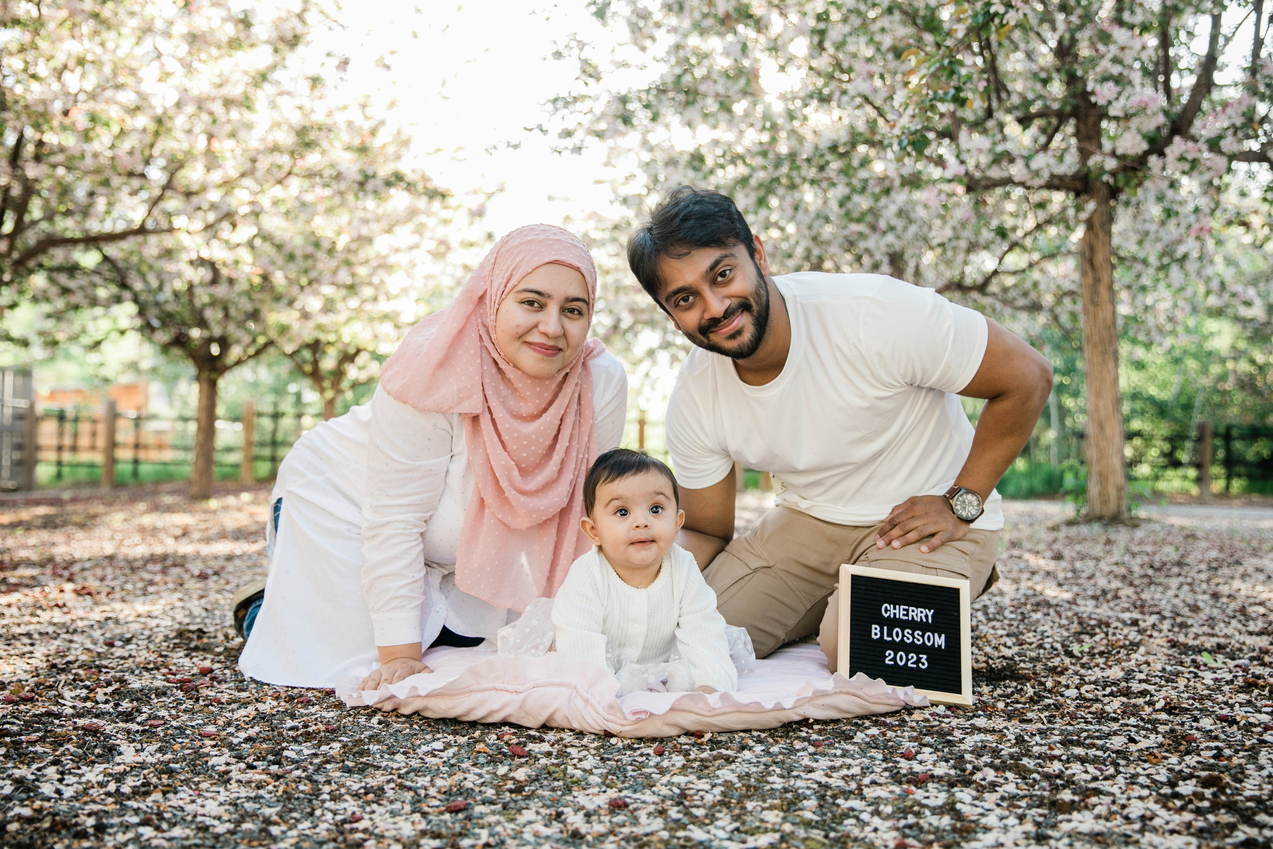 Nabeel Cherry Blossoms. Fotografía accesible en Calgary