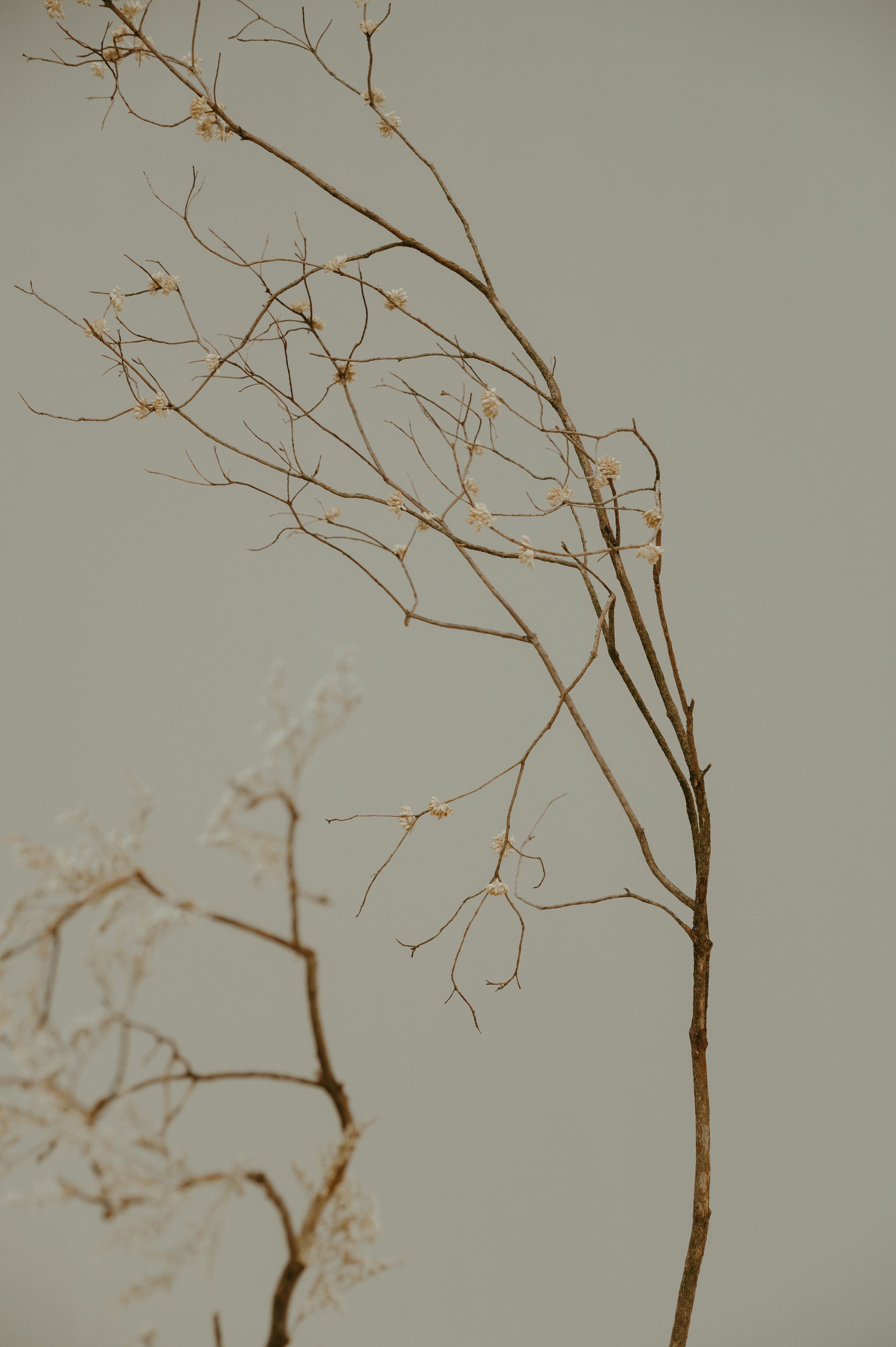 Art Direction: Flowers by&nbsp;Bornay Photography: Fabrizio Colque