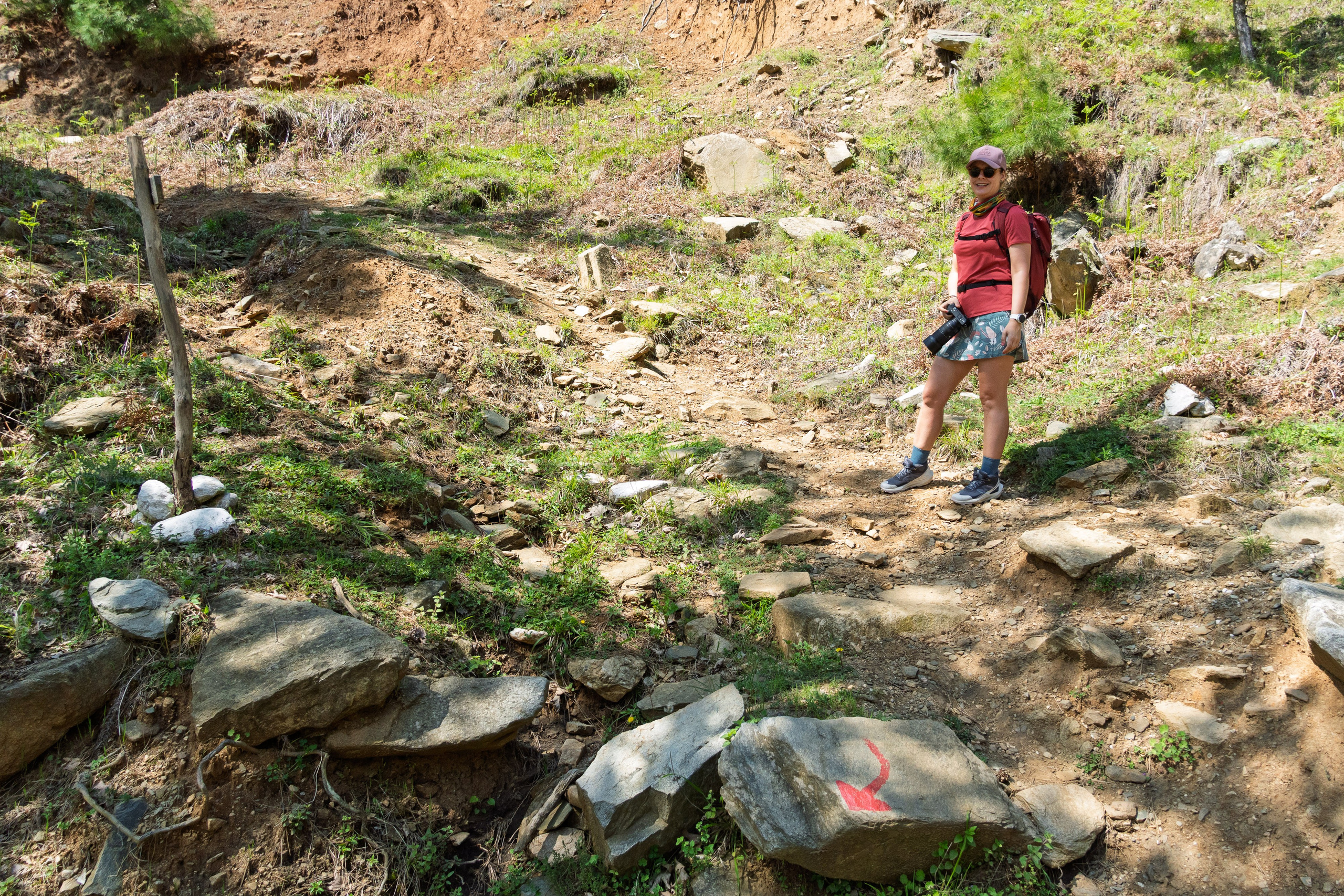 Thasos 2025. Fotografiideplacere.net