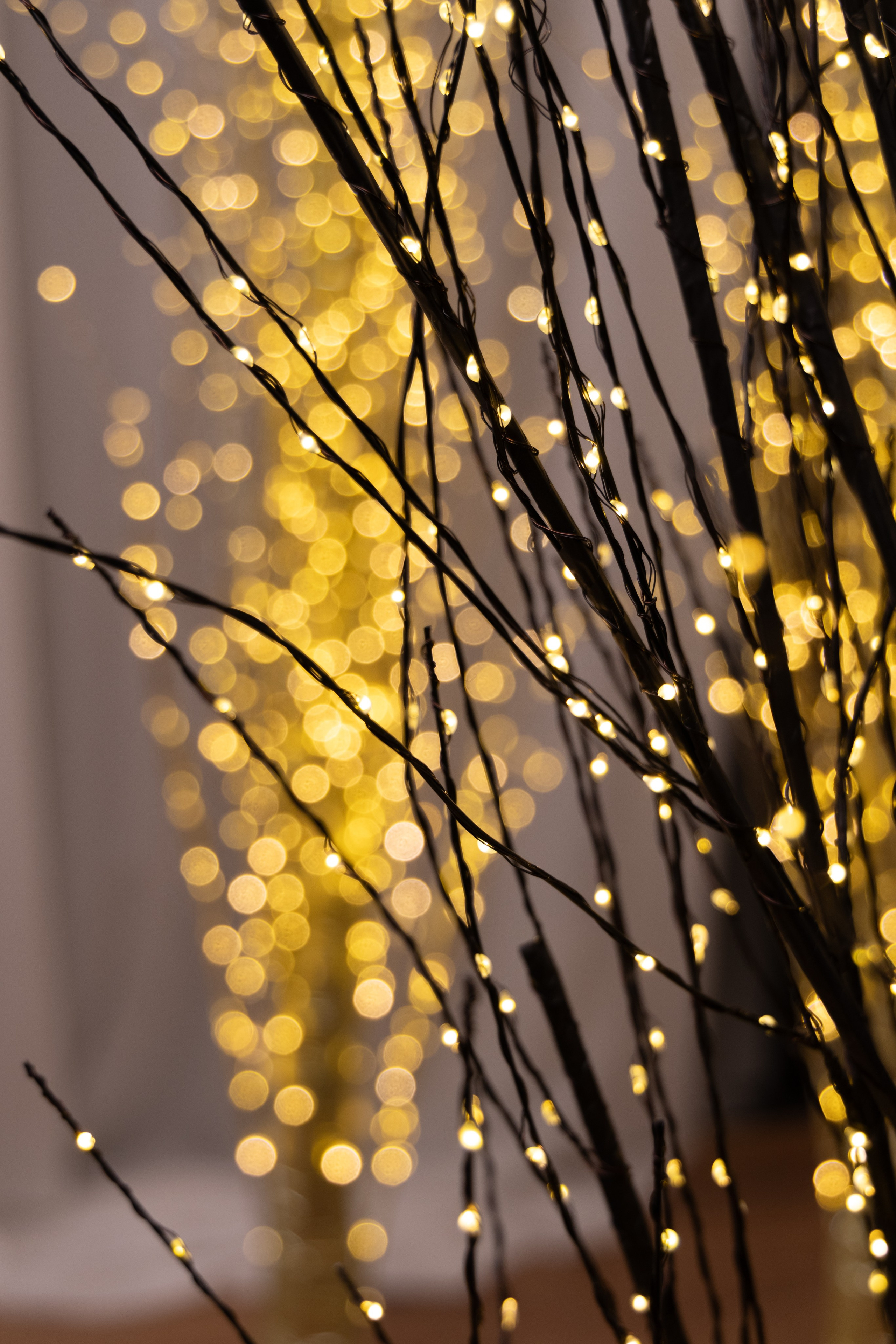 Valcony. Дизайнер и Фотограф в Кишинёве Бусуйок Станислав