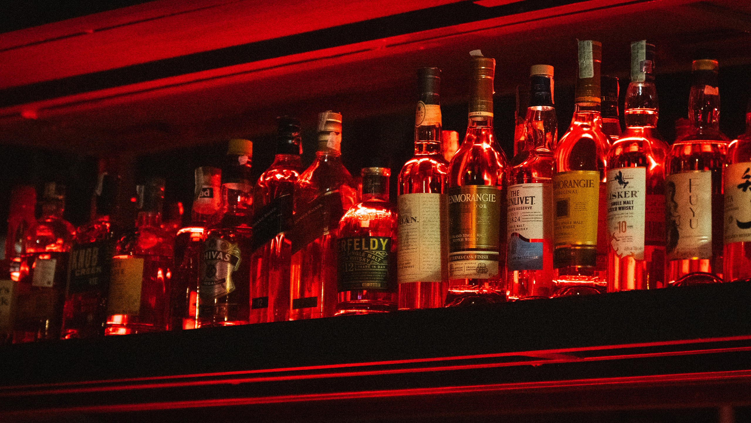 SEE SOLARIS. THE ROOM BAR