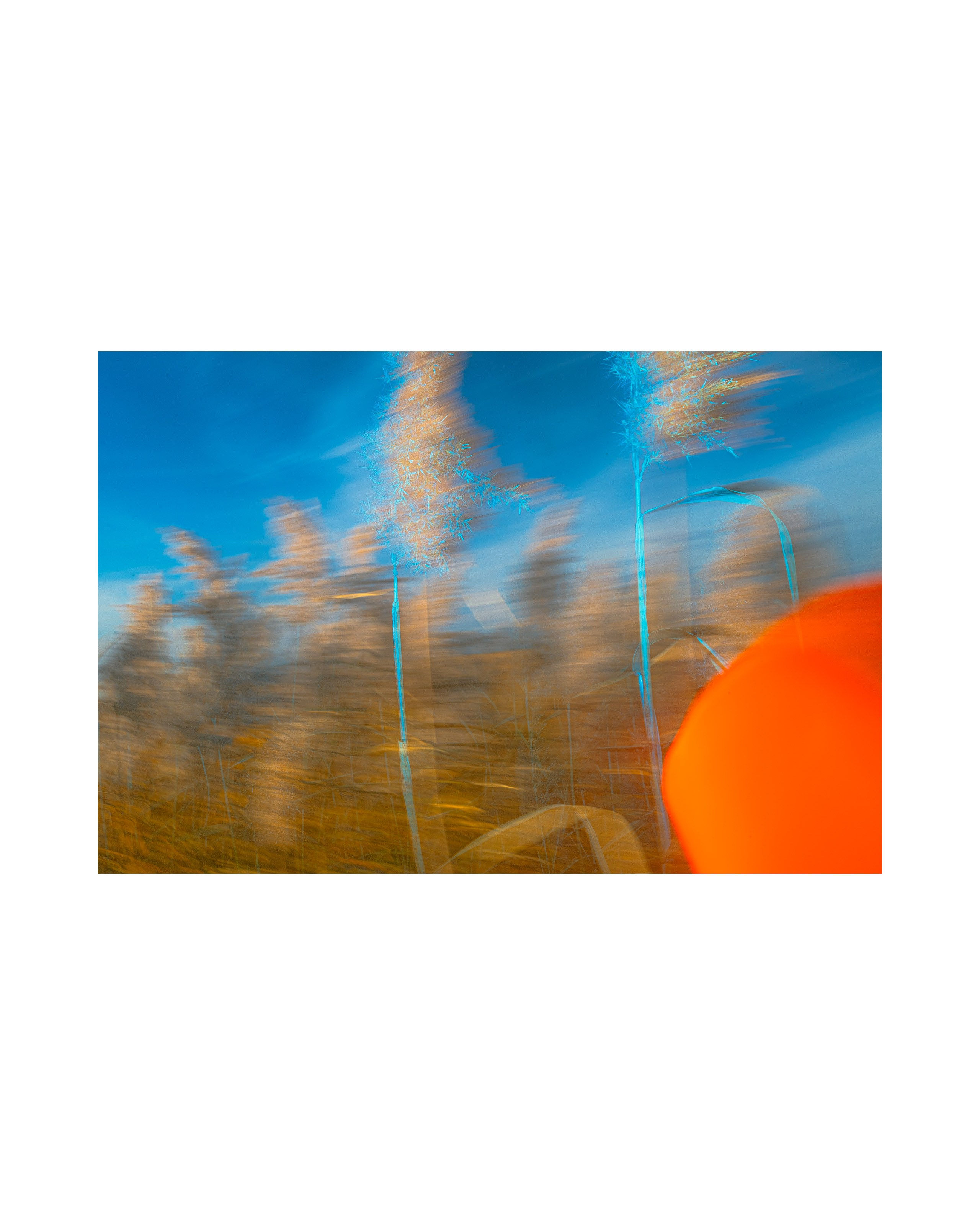 Nature from Exaggerated Worlds. Ekaterina Tsurkina-Appina Photography Canada