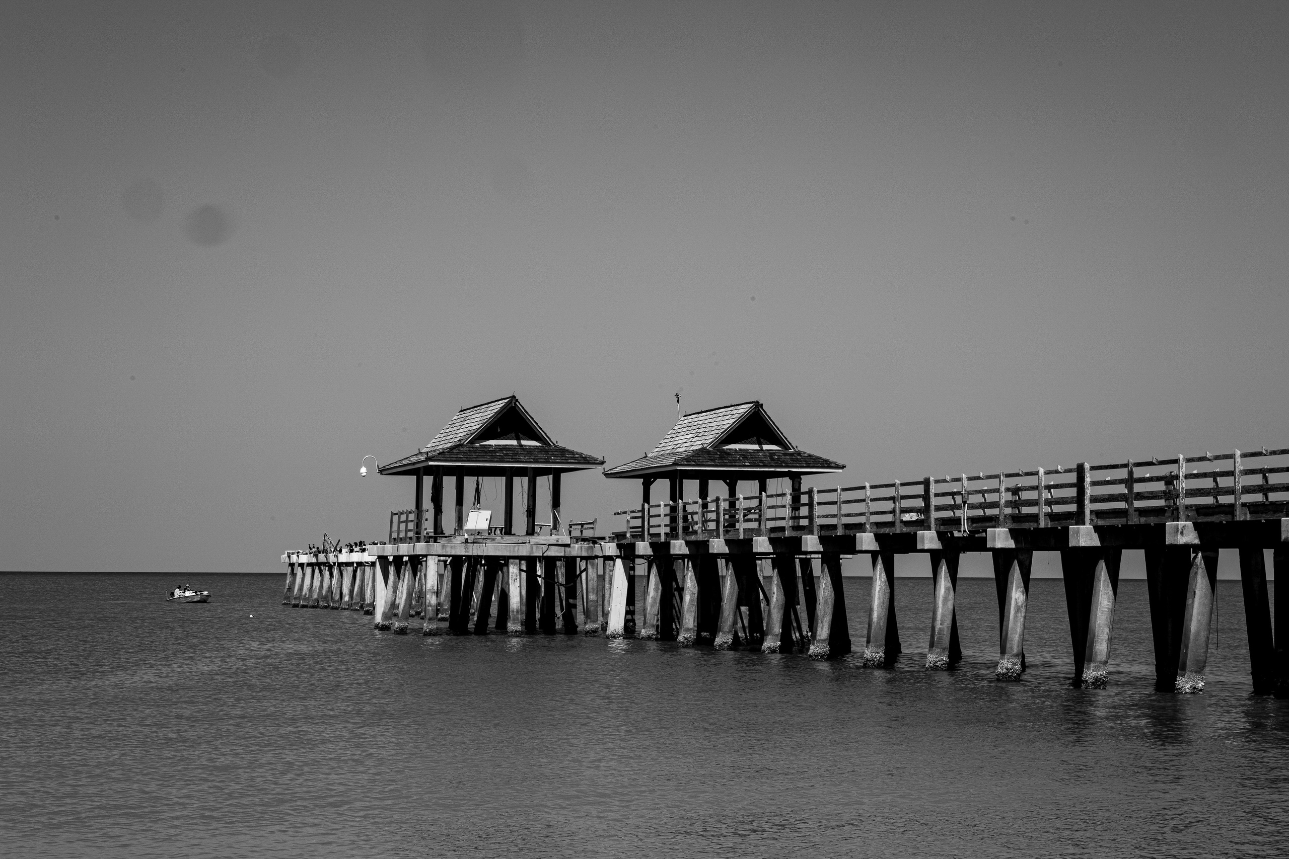 Black and White. Out and About 239