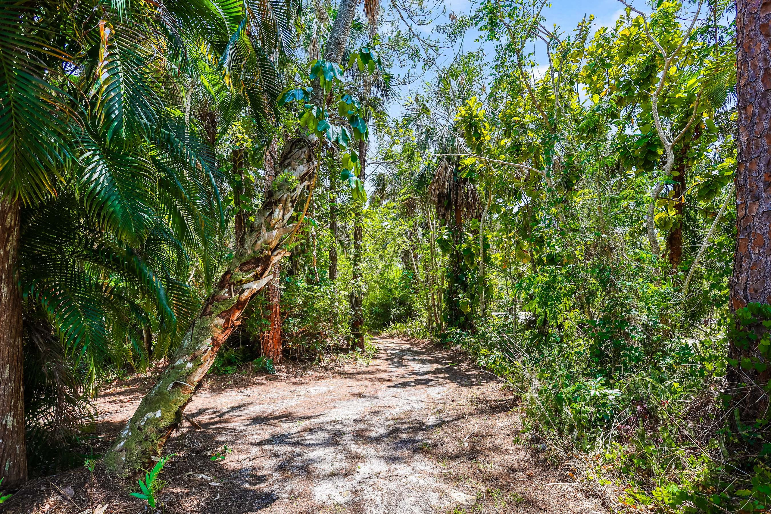 Sample D. Out and About 239