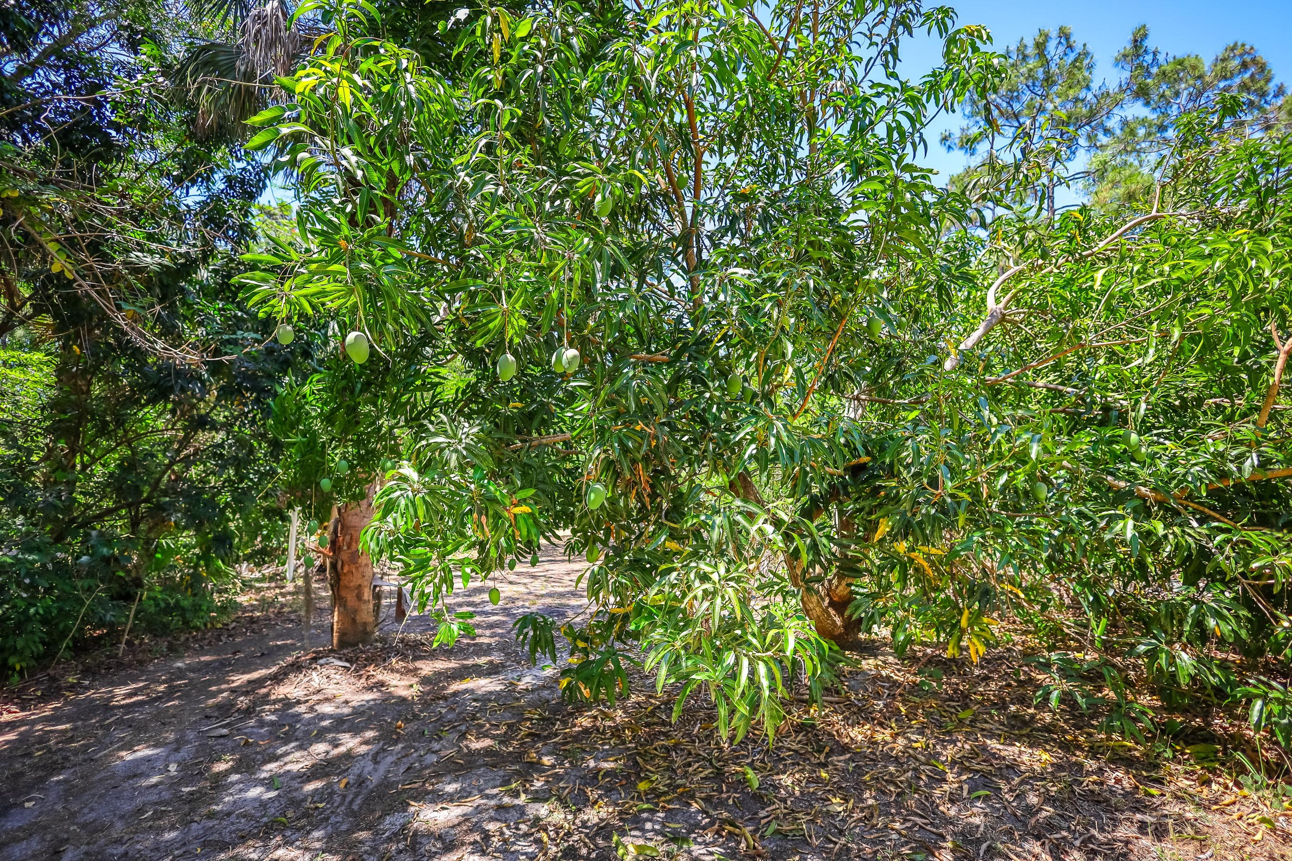 Sample D. Out and About 239