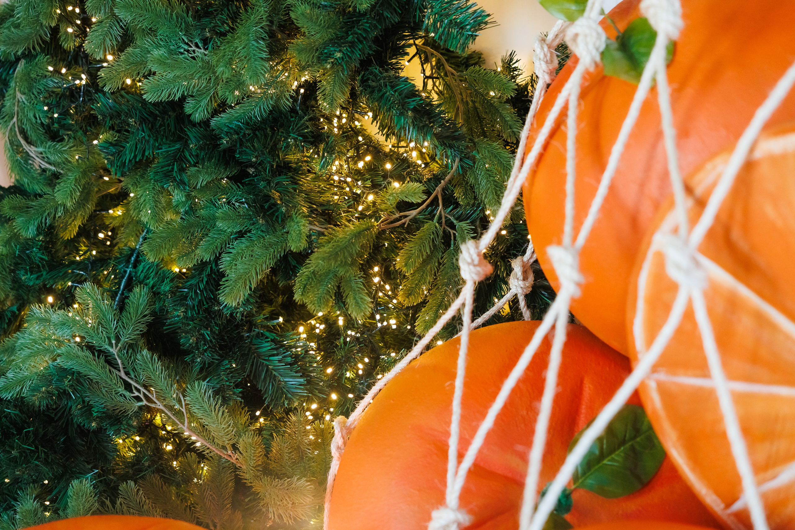 Коледа 2025 №3. Фотограф Ирина Йотова