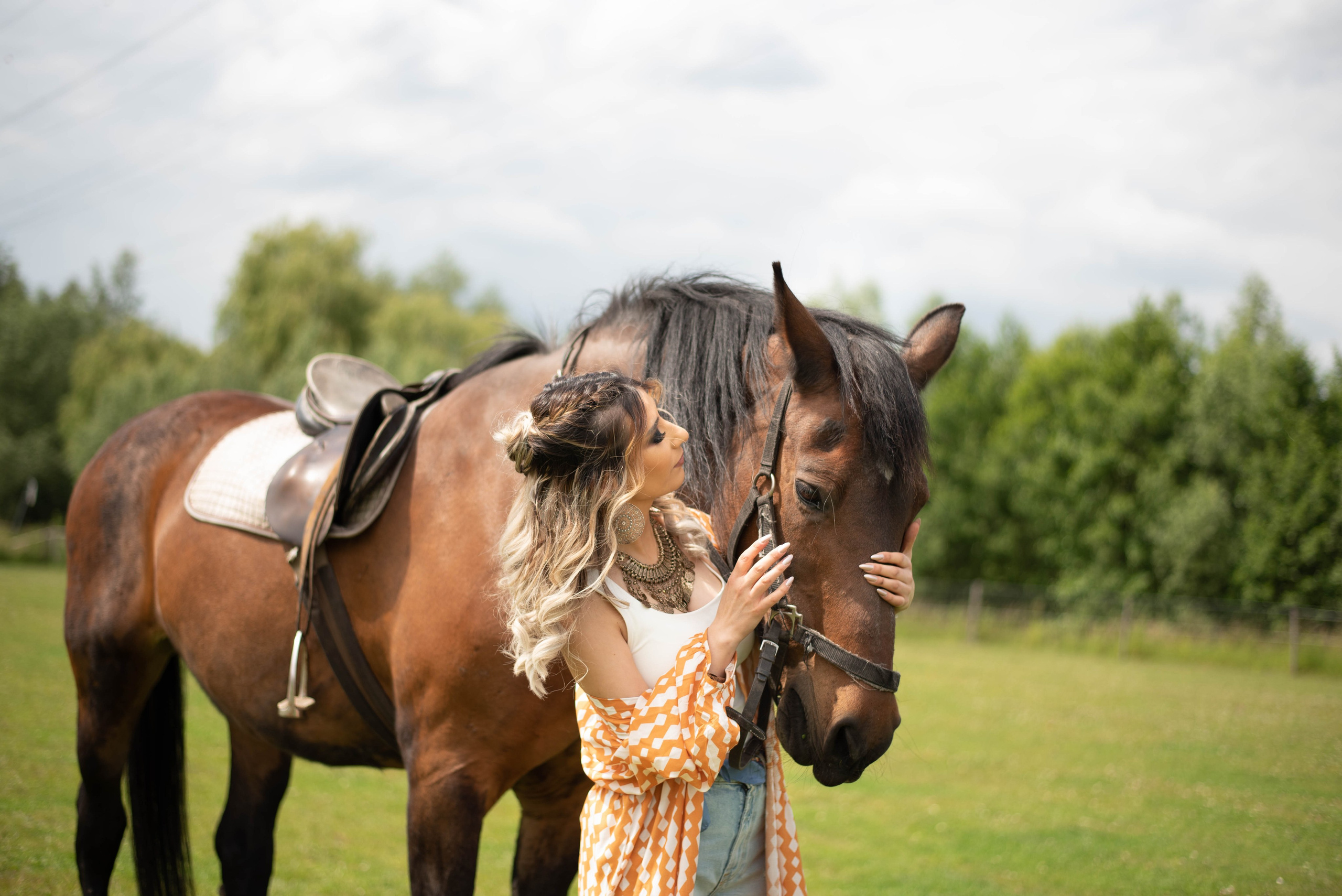 Photoshoot with Horses. Professional Photograher, Antwerpen/Belgium
