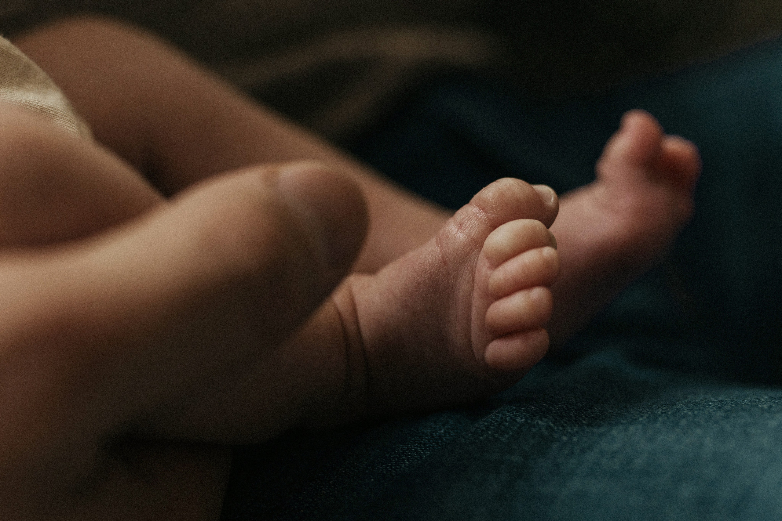 Dana, Paul, Matteo. Wedding and family photographer and videographer PA, NJ, NY, DE, MD