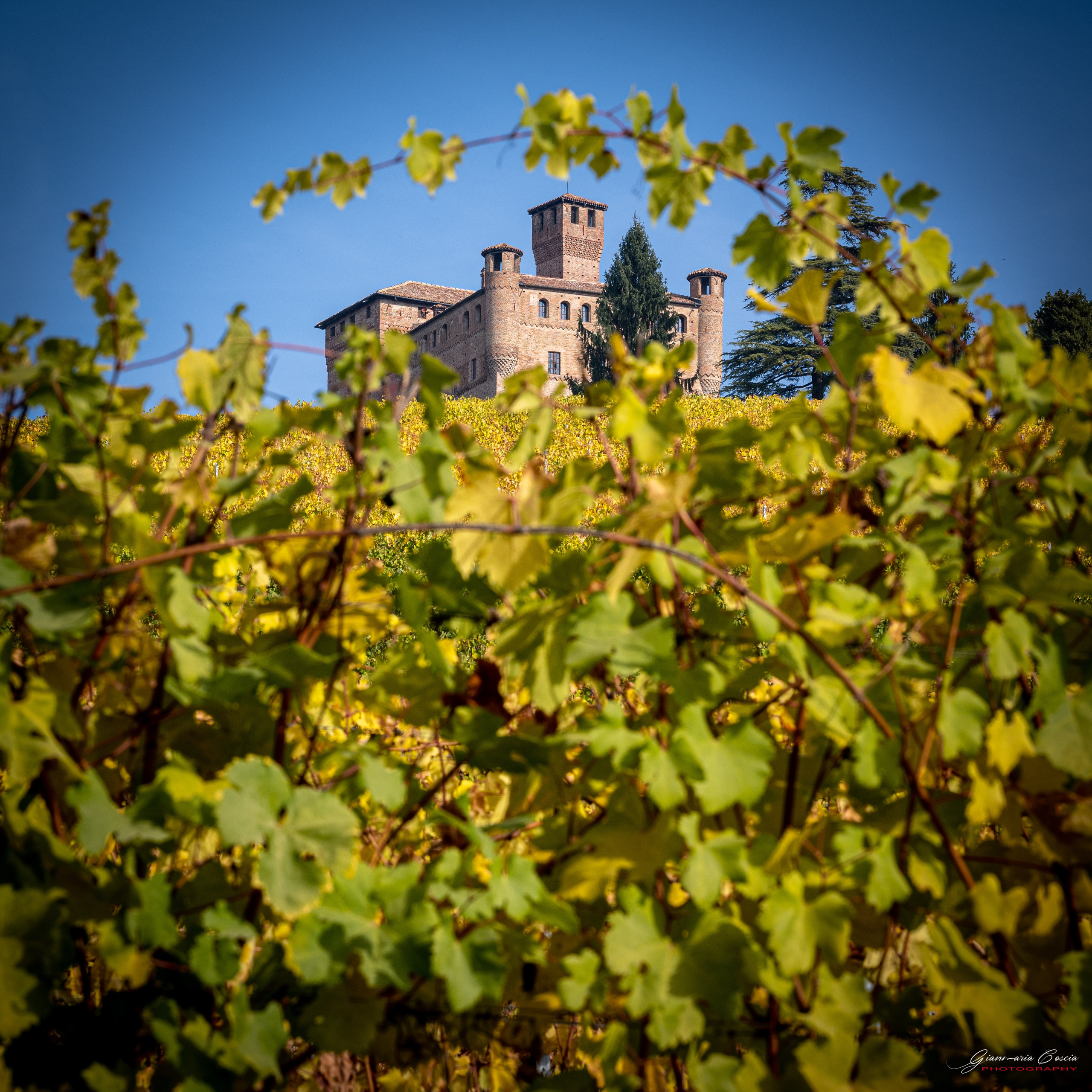 Langhe. “Gianmaria Coscia fotografo per passione”