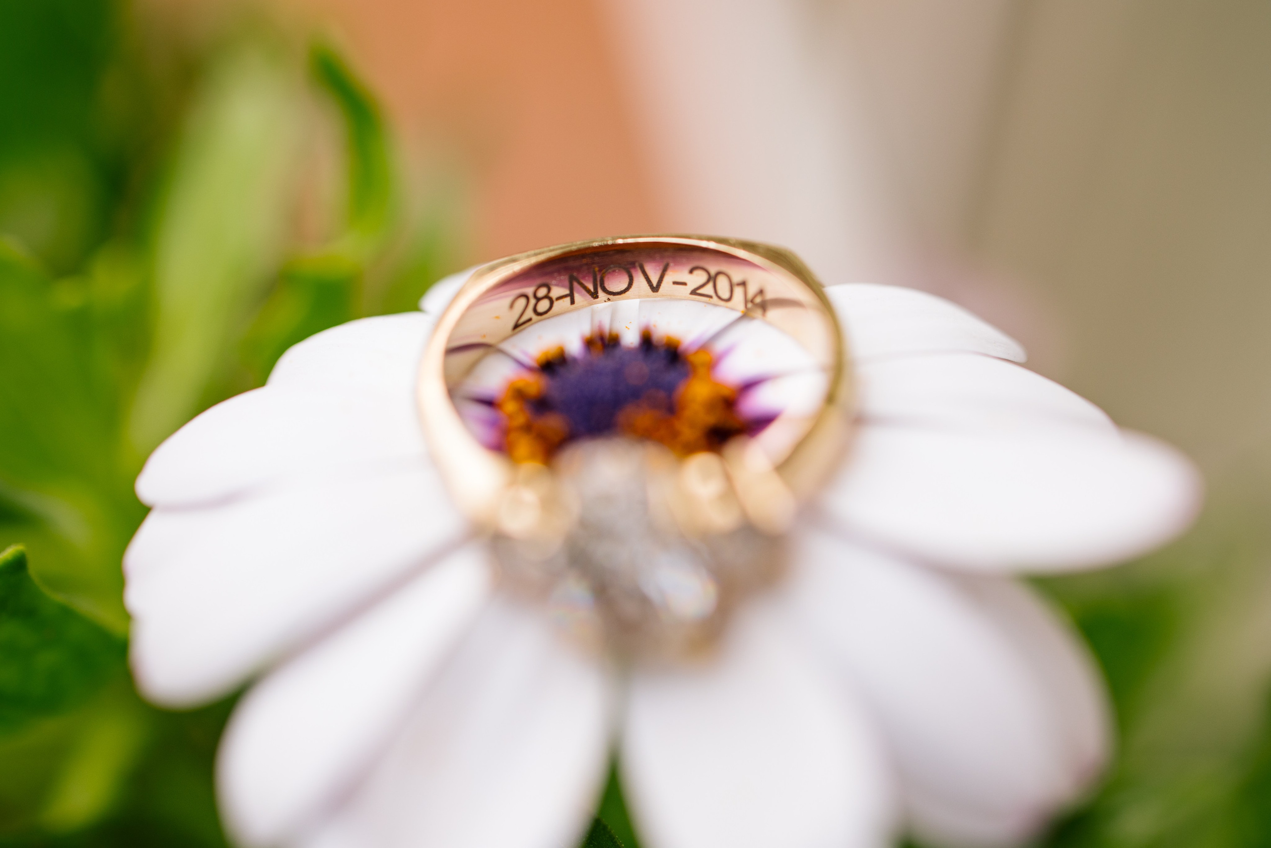 Alejandra y Salvador. Principal