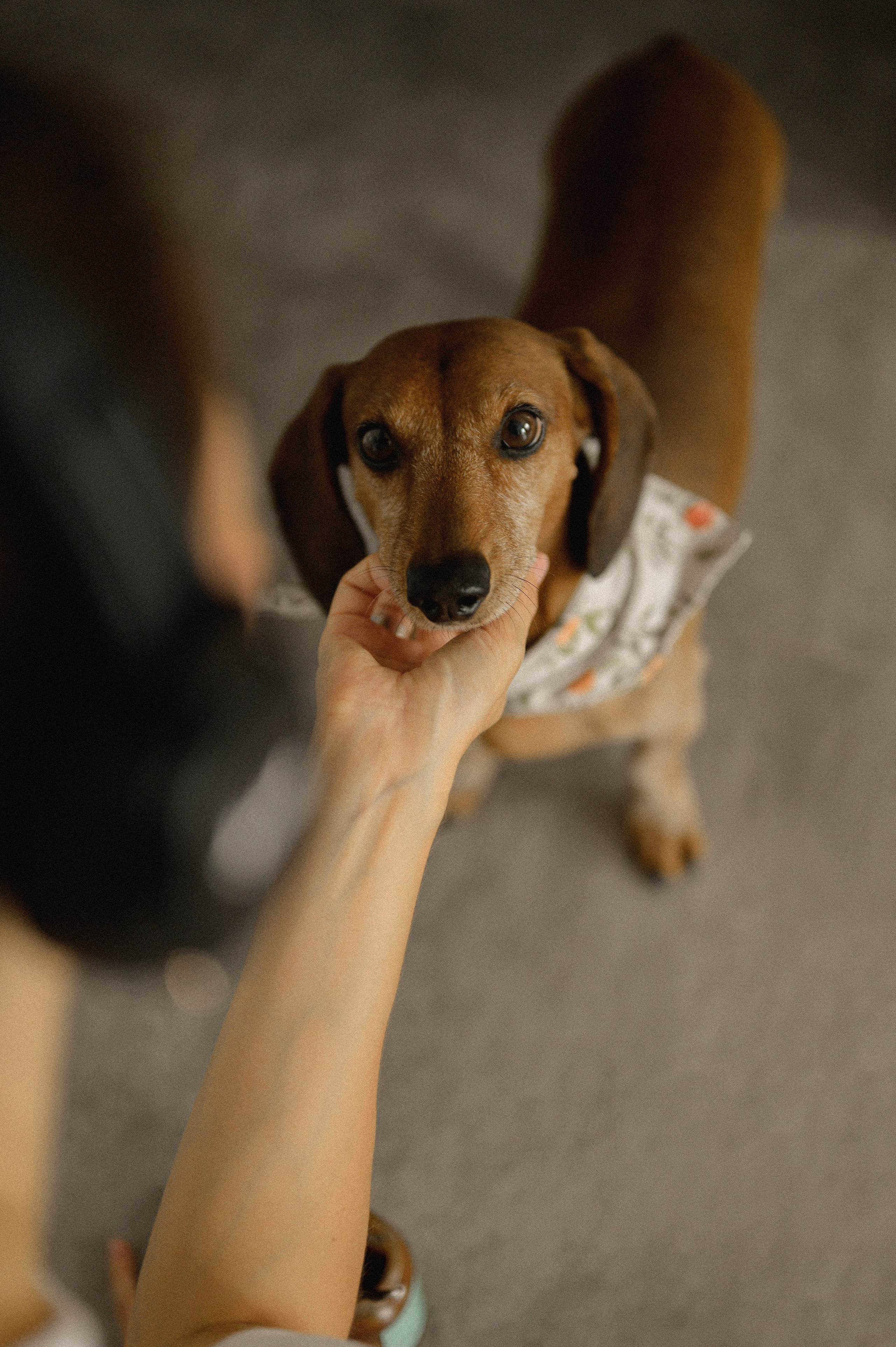 Dasha, 2023. Wedding photographer in Wroclaw Warsaw Krakow Margarita Tuleiko