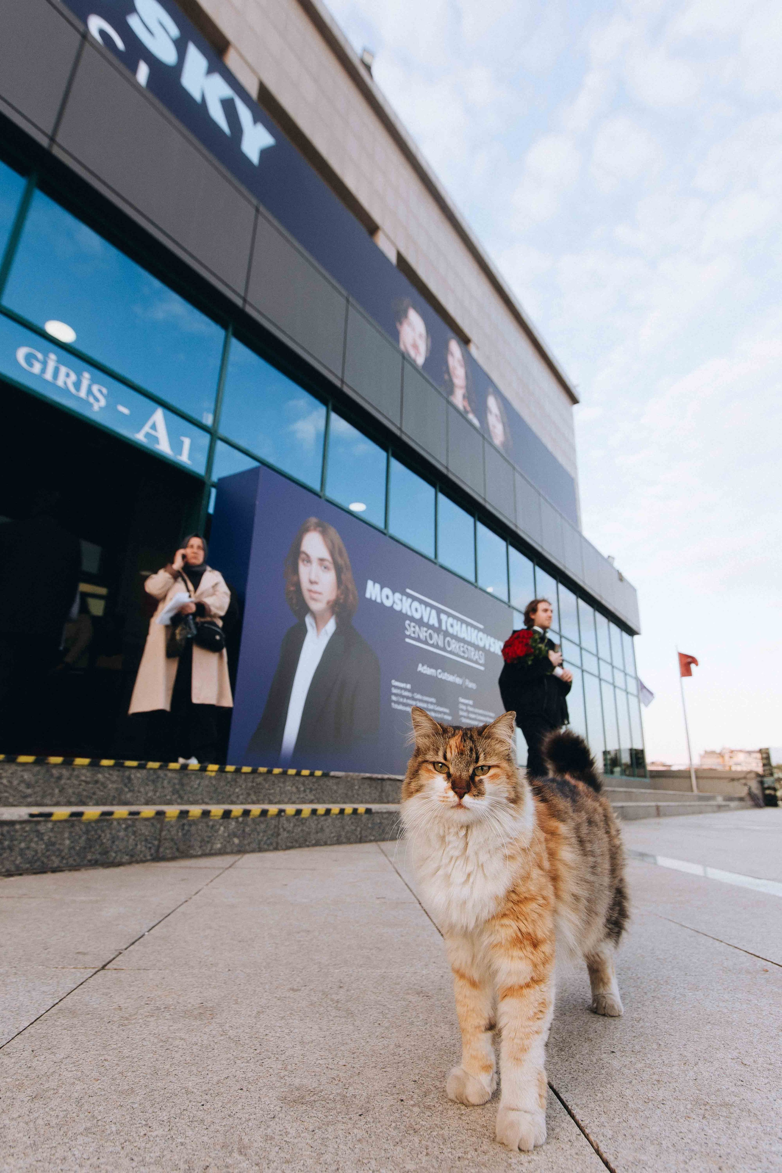The Tchaikovsky Academic Grand Symphony Orchestra in Istanbul. Wedding&Event photographer Ismail Rzayev in Baku