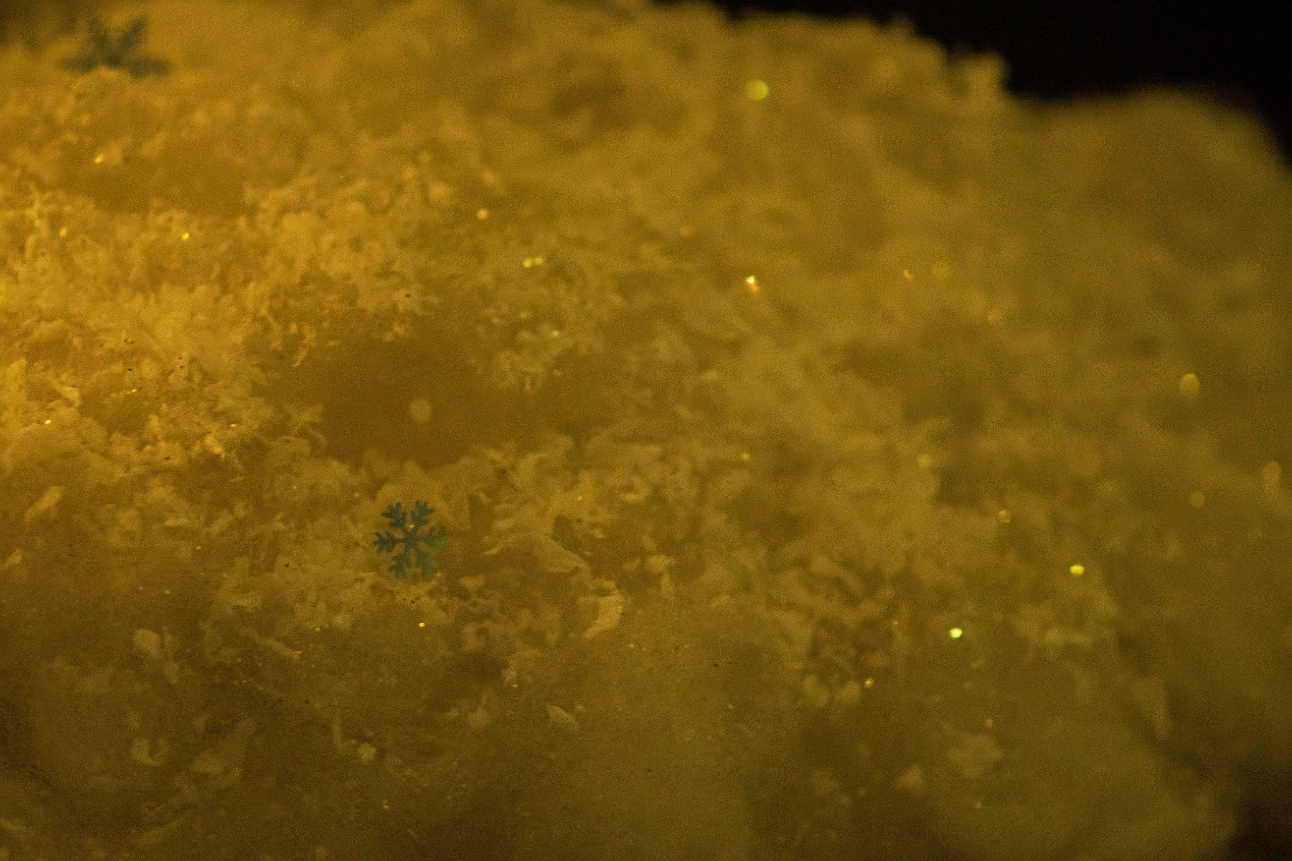 Проект. Семейный и детский фотограф